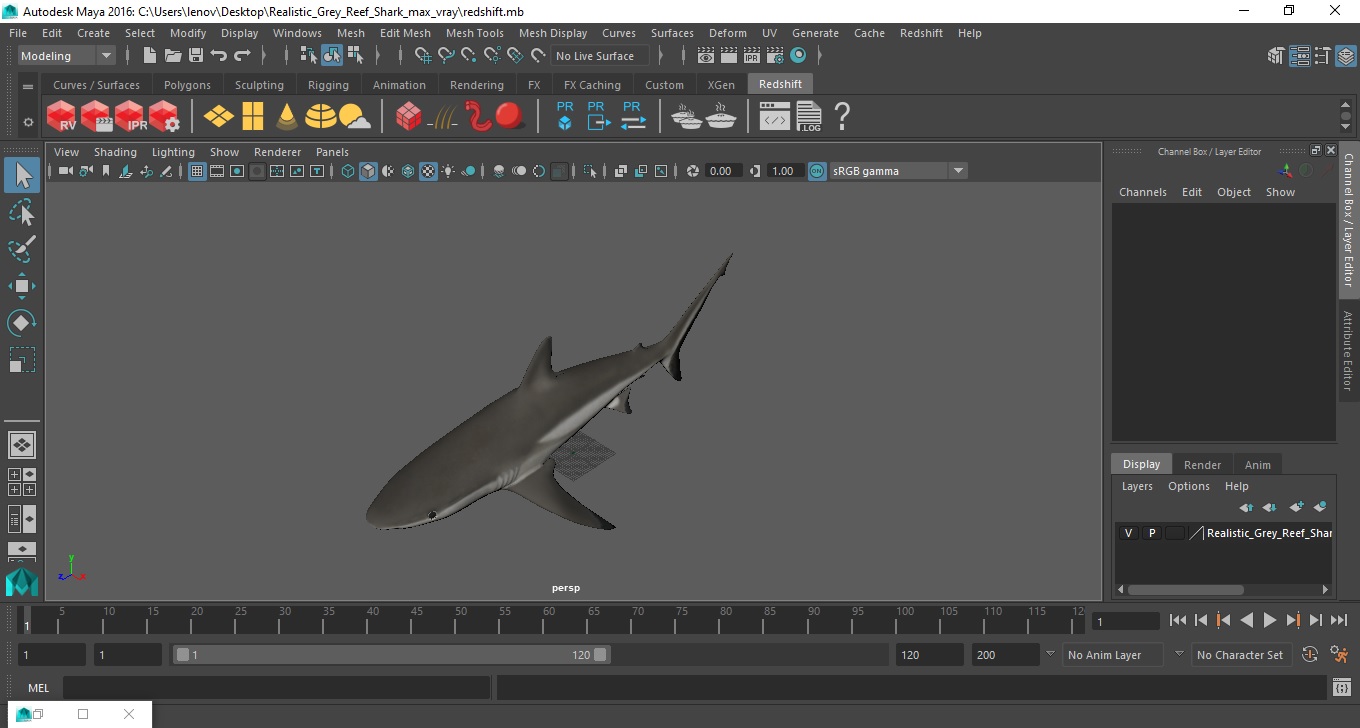 3D model Realistic Grey Reef Shark