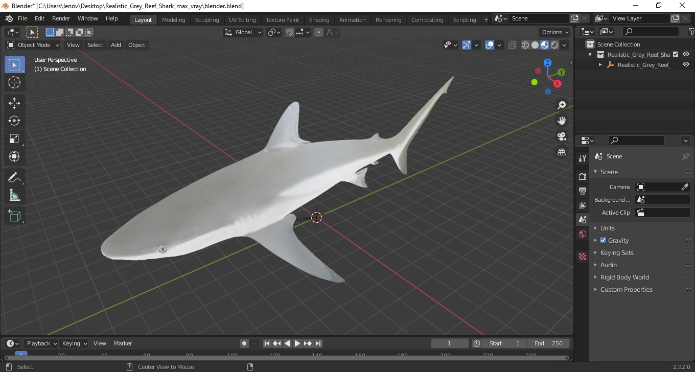 3D model Realistic Grey Reef Shark