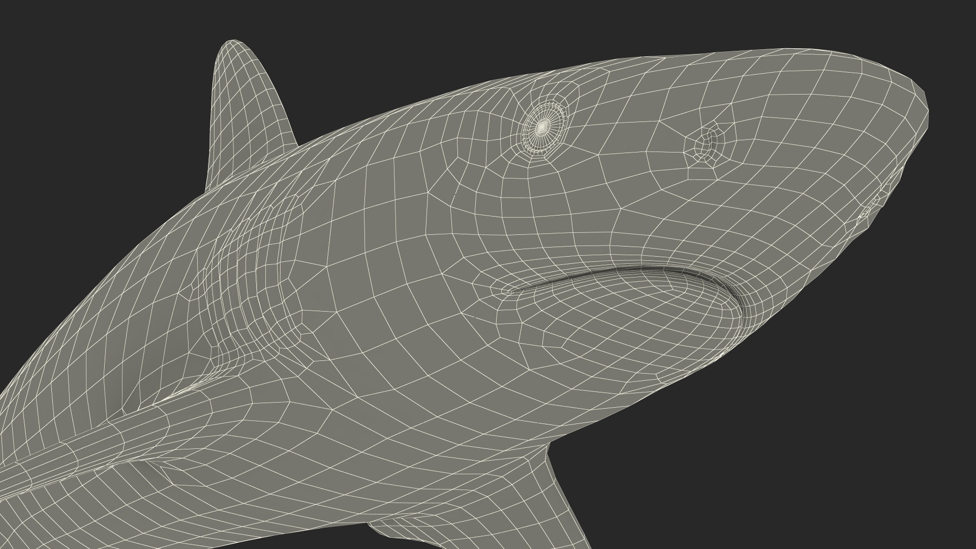 3D model Realistic Grey Reef Shark