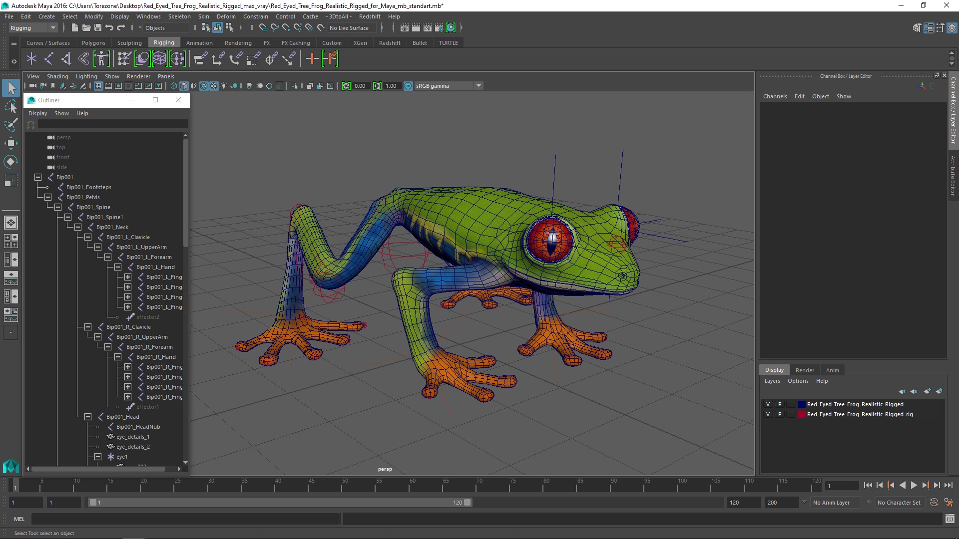 Red Eyed Tree Frog Realistic Rigged for Maya 3D model