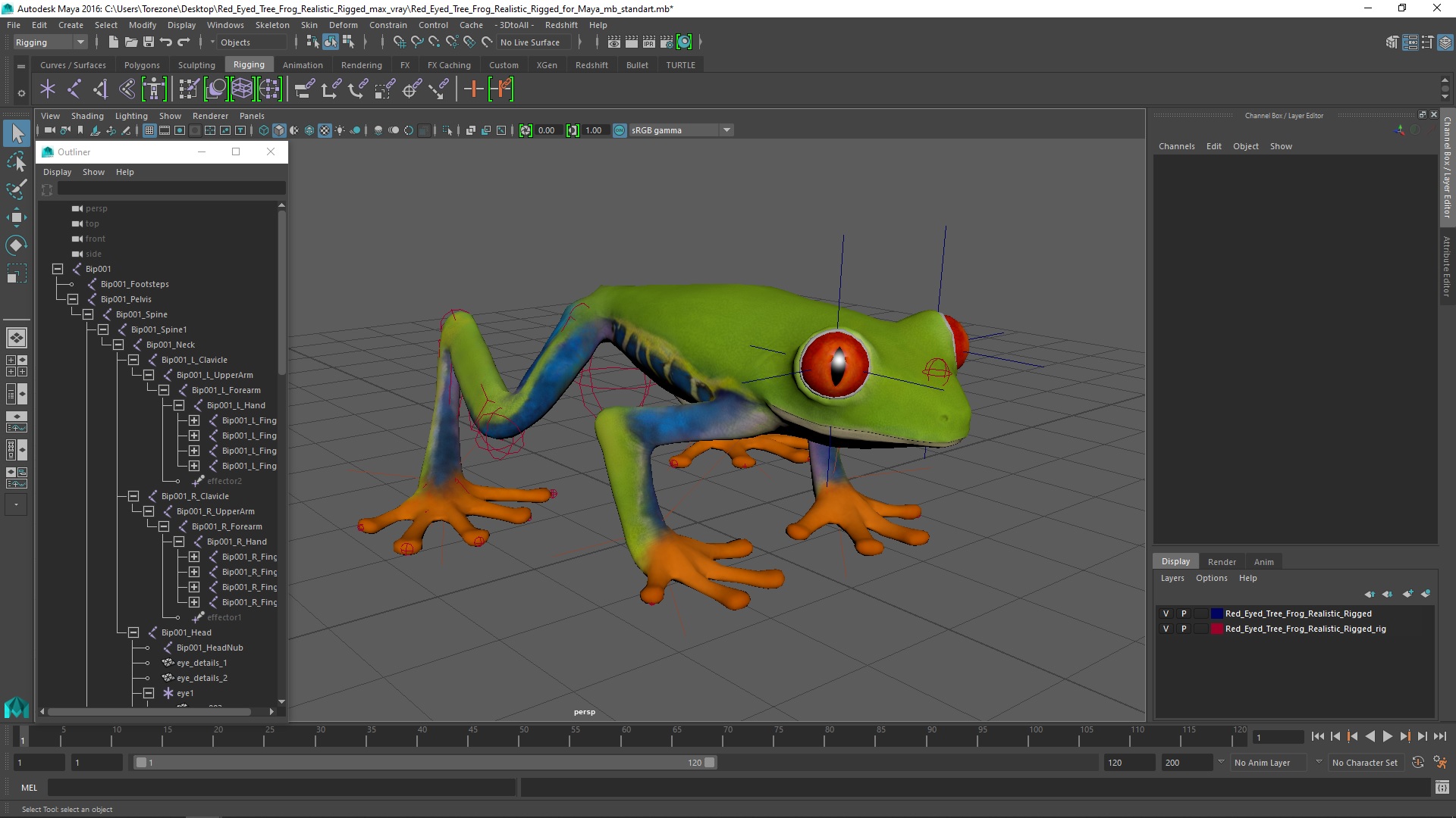 Red Eyed Tree Frog Realistic Rigged for Maya 3D model