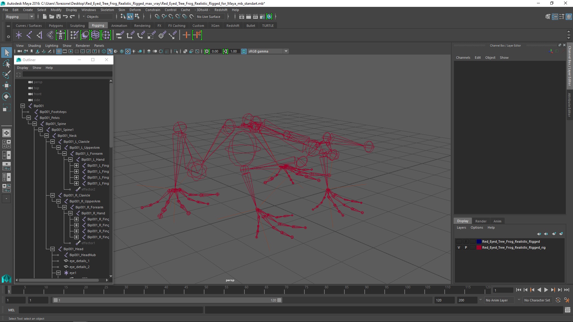 Red Eyed Tree Frog Realistic Rigged for Maya 3D model