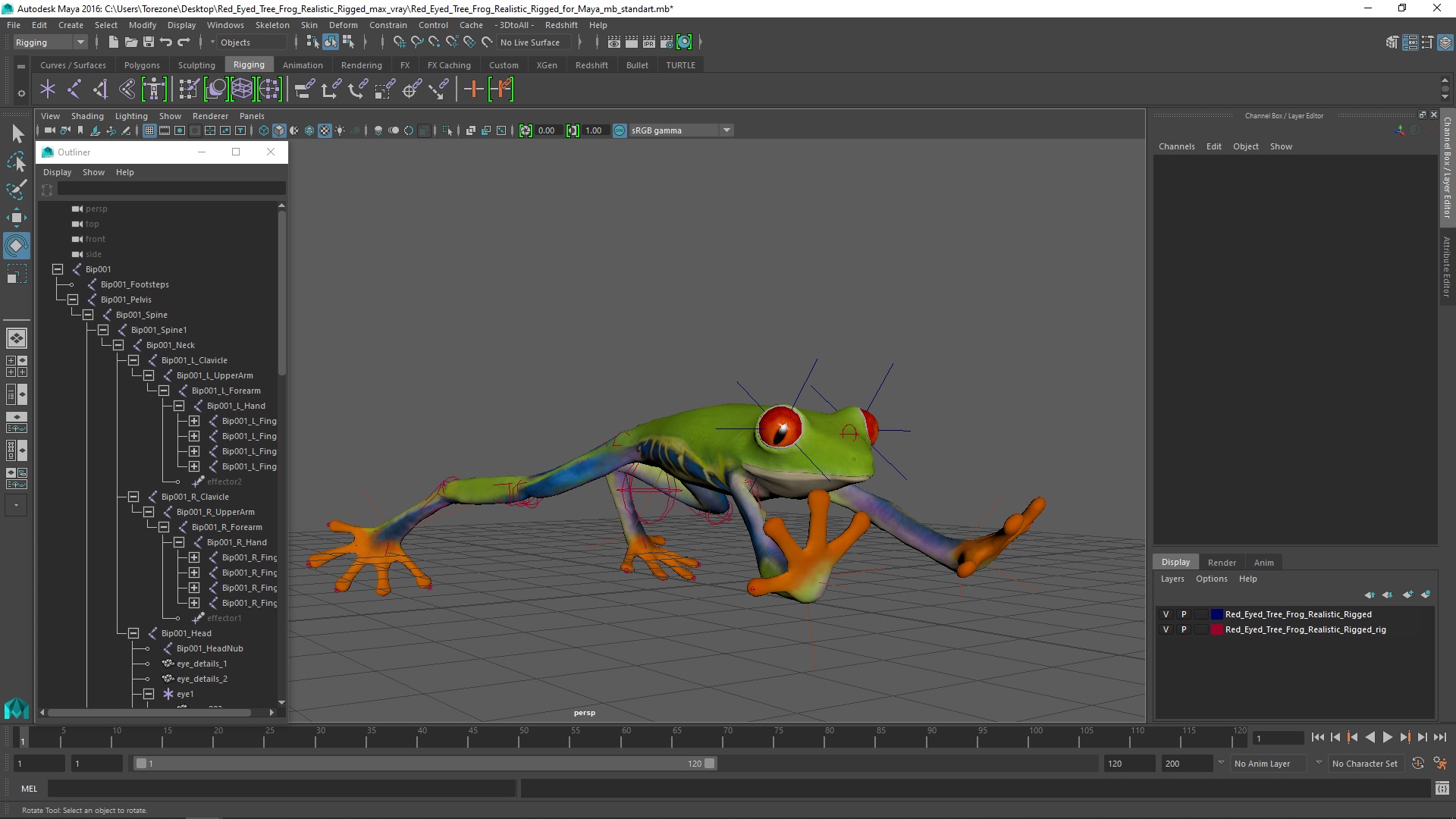 Red Eyed Tree Frog Realistic Rigged for Maya 3D model