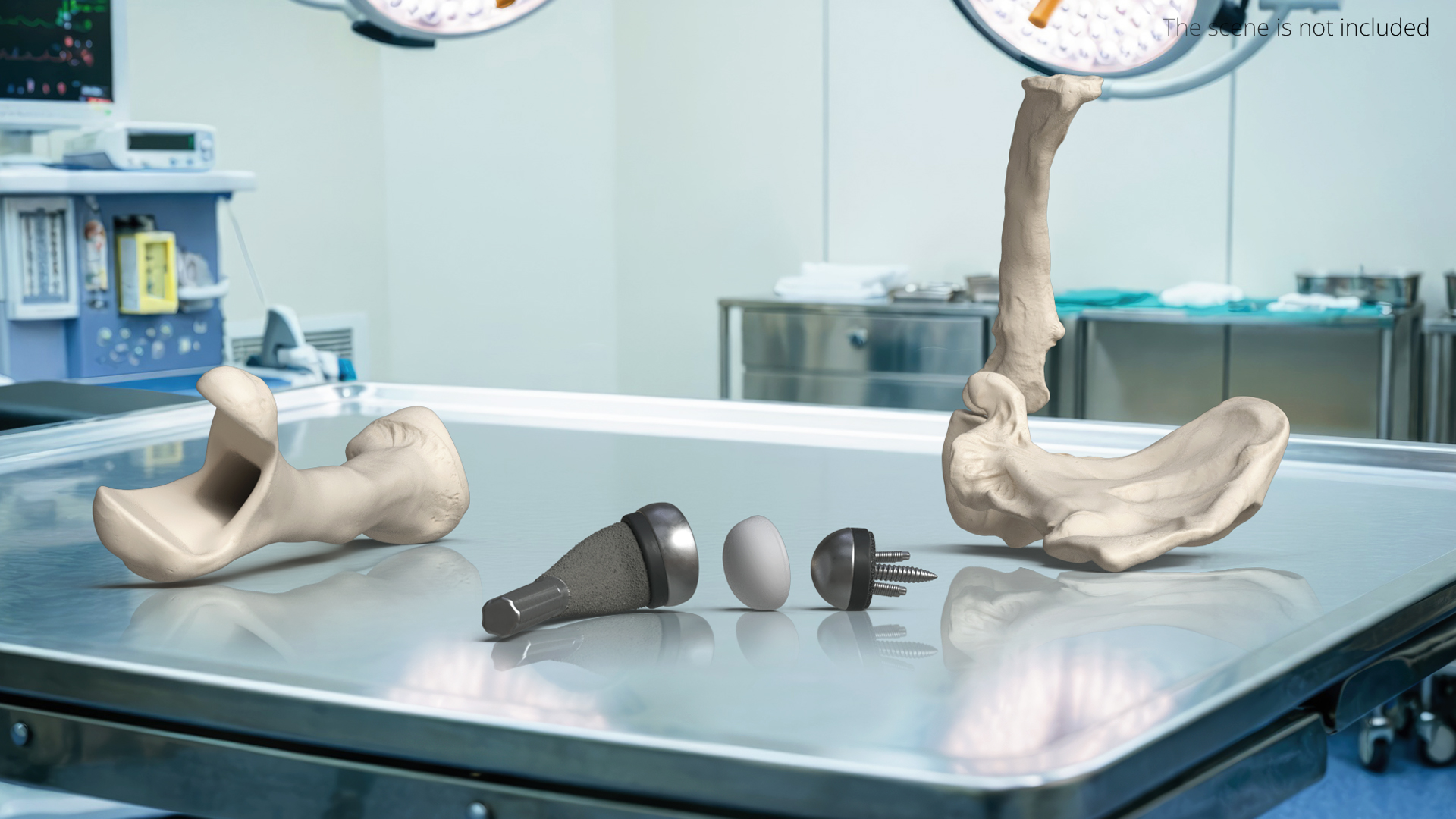 Shoulder Joint Implant with Humerus and Scapula, view 2