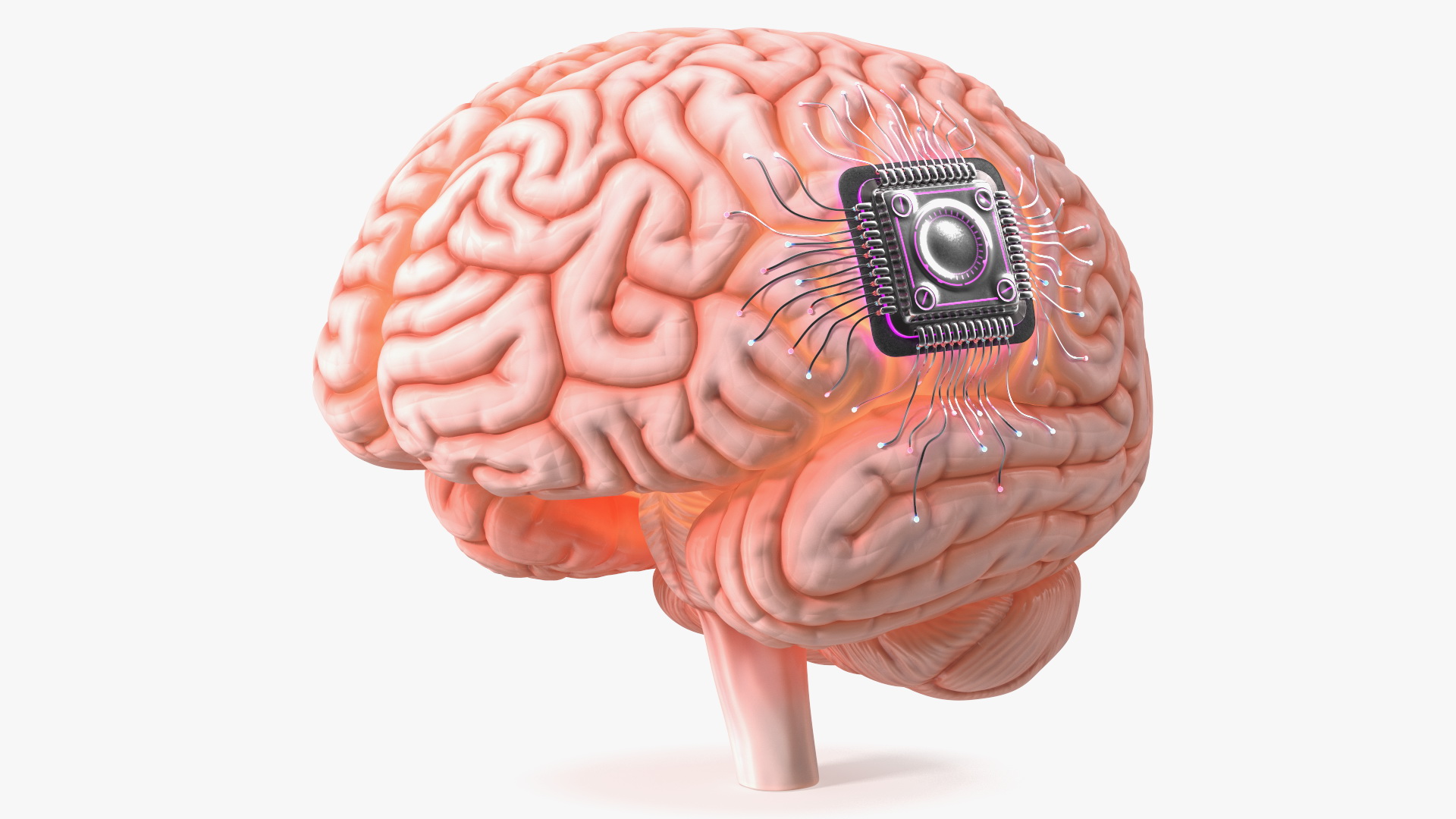 Human Brain With Implanted Microchip Lighted 3D model