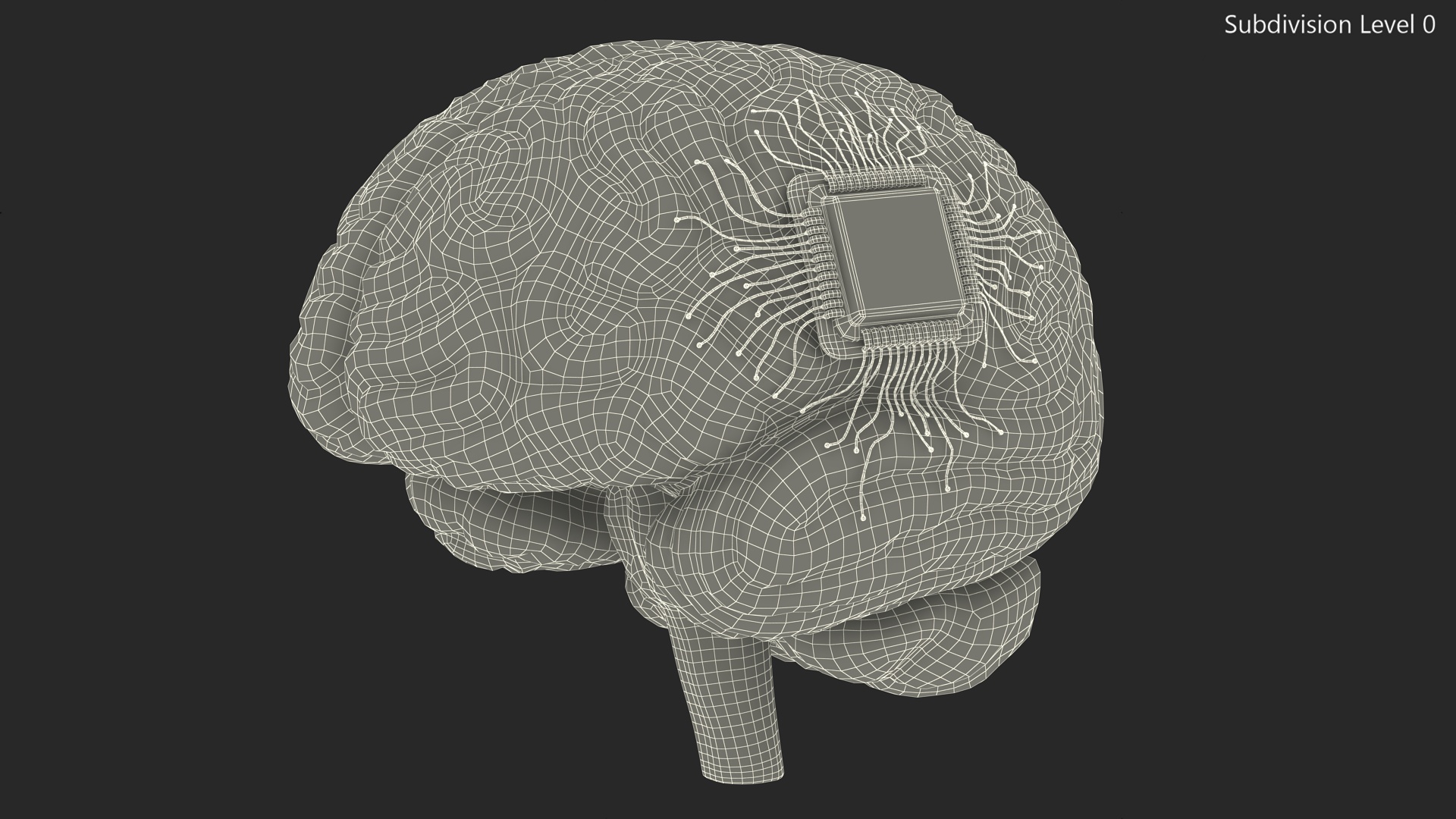 Human Brain With Implanted Microchip Lighted 3D model