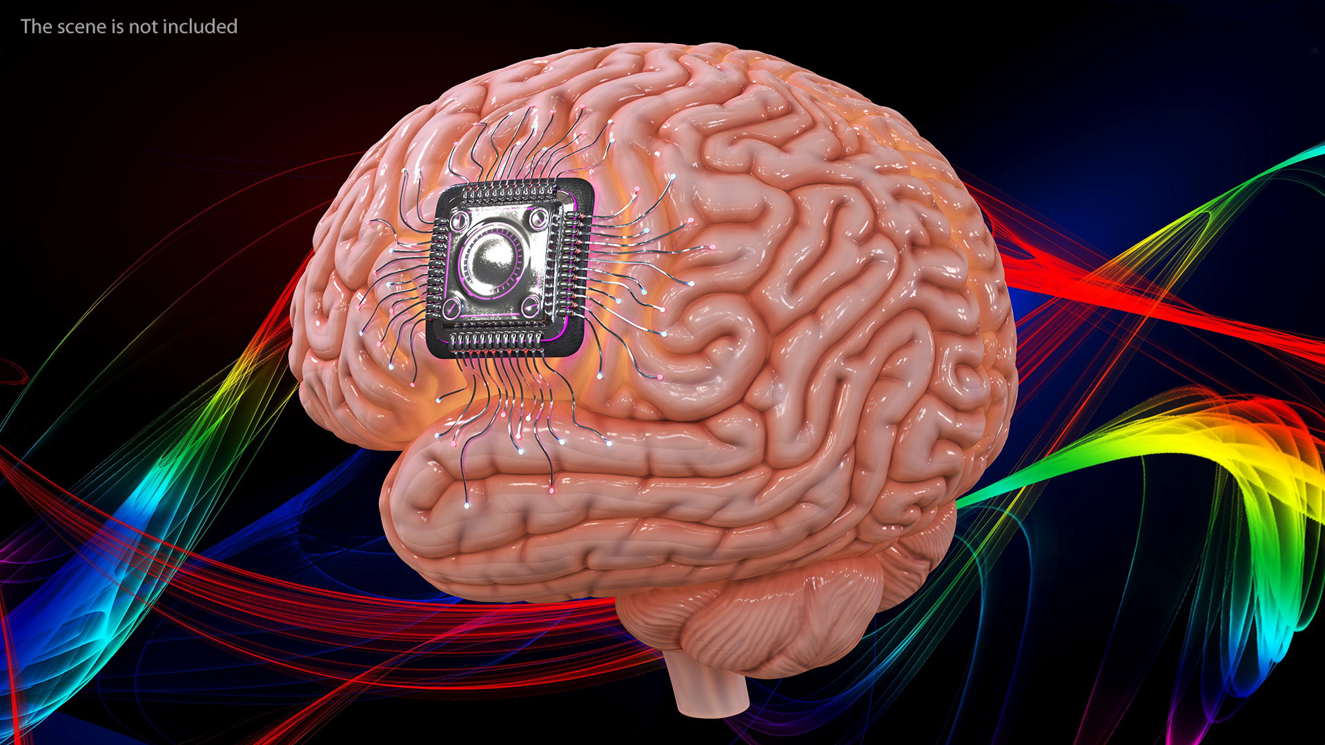 Human Brain With Implanted Microchip Lighted 3D model