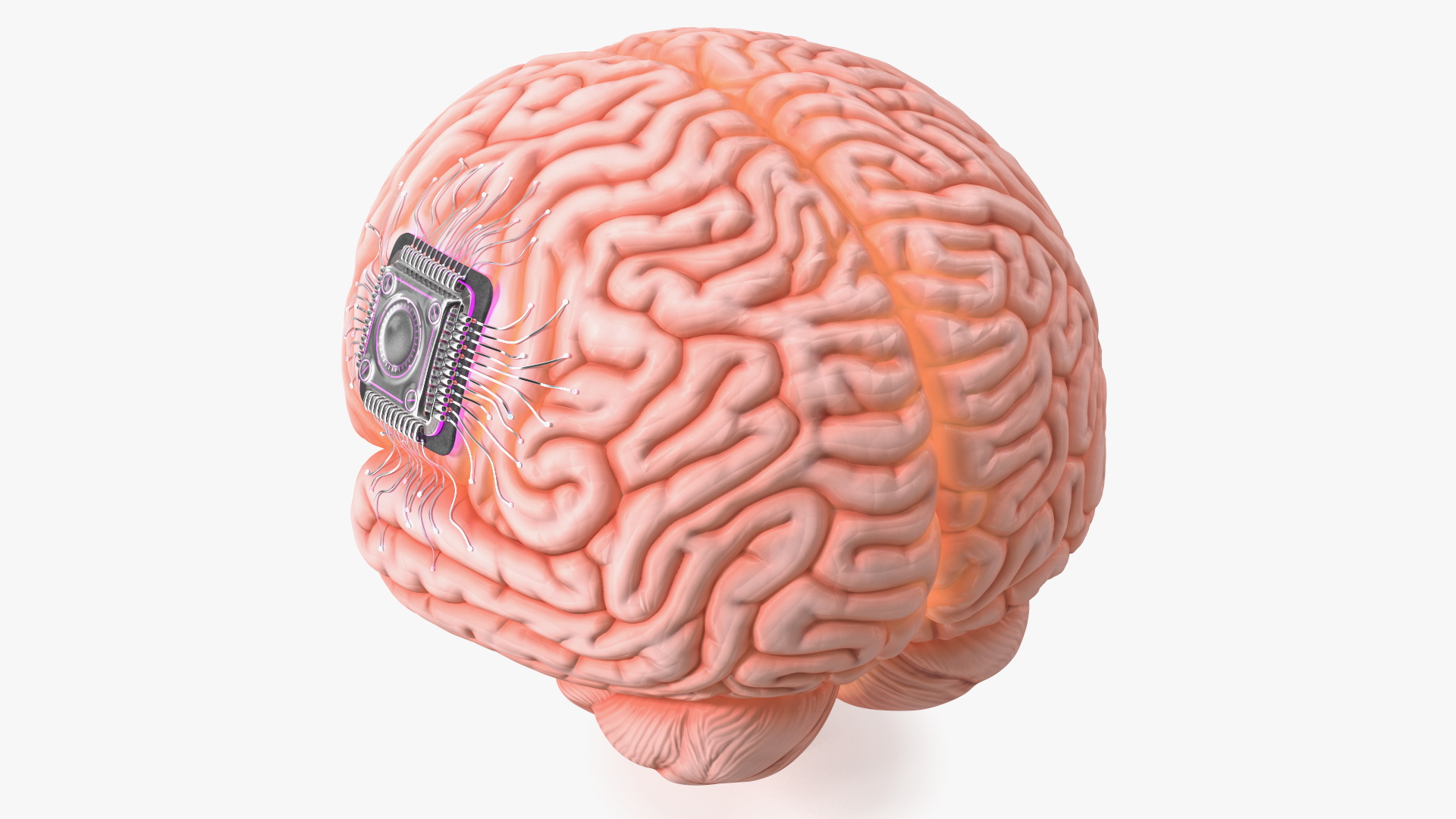 Human Brain With Implanted Microchip Lighted 3D model