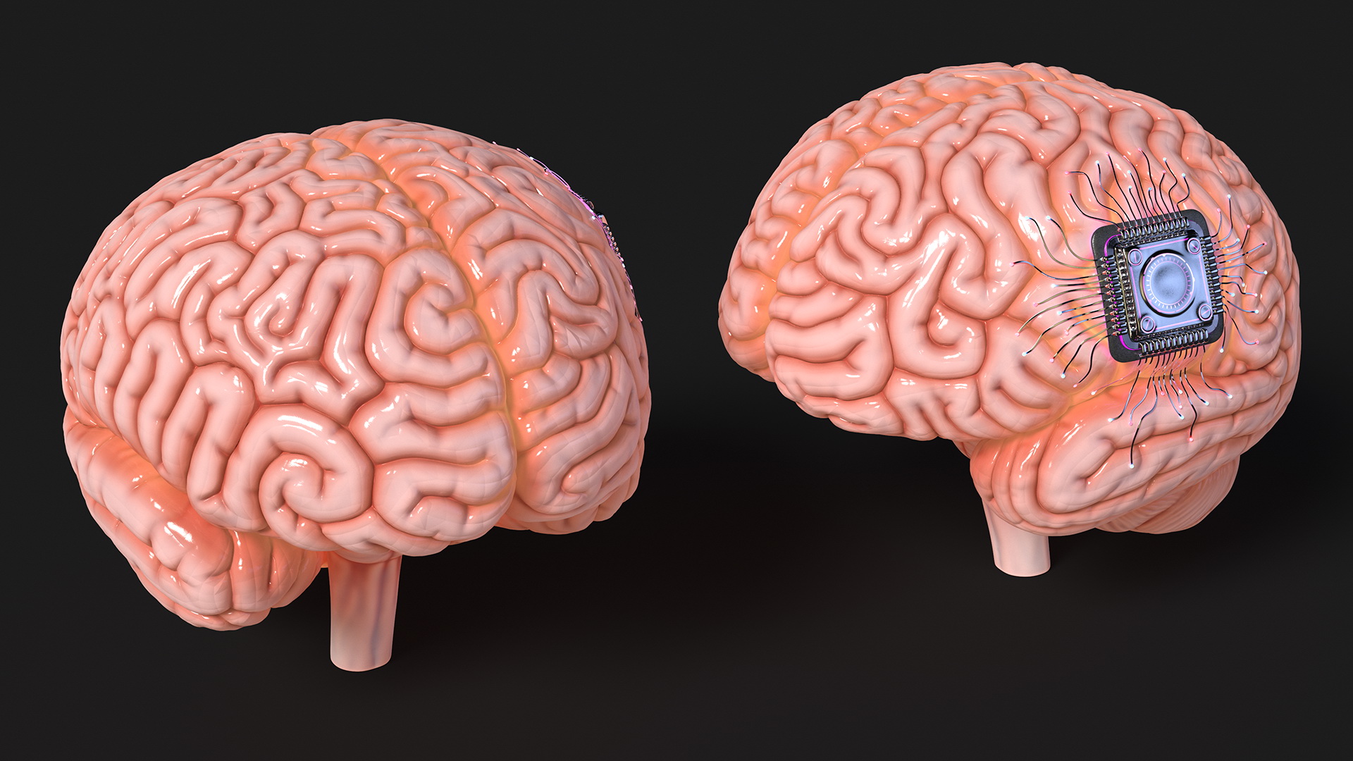Human Brain With Implanted Microchip Lighted 3D model