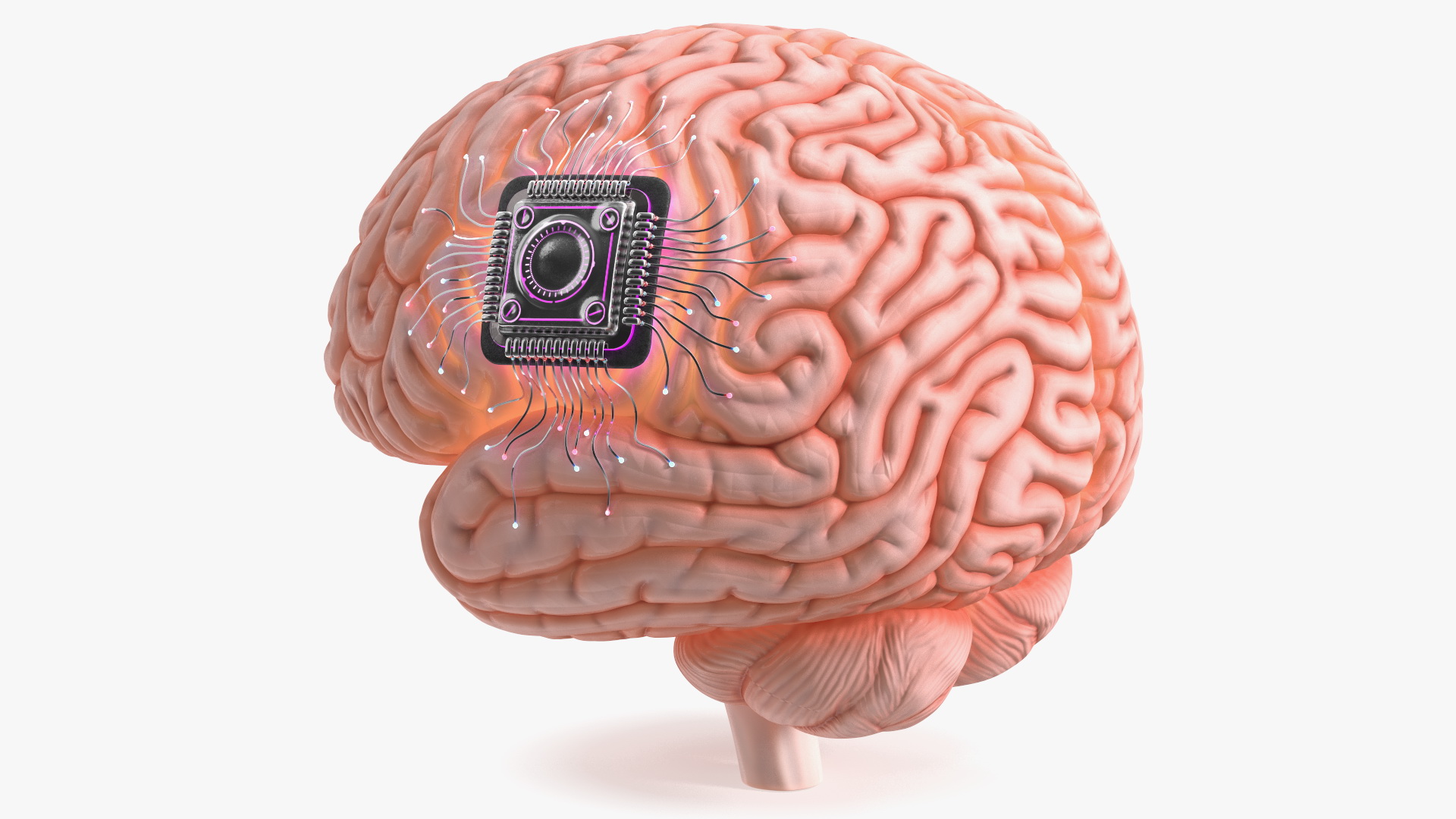 Human Brain With Implanted Microchip Lighted 3D model