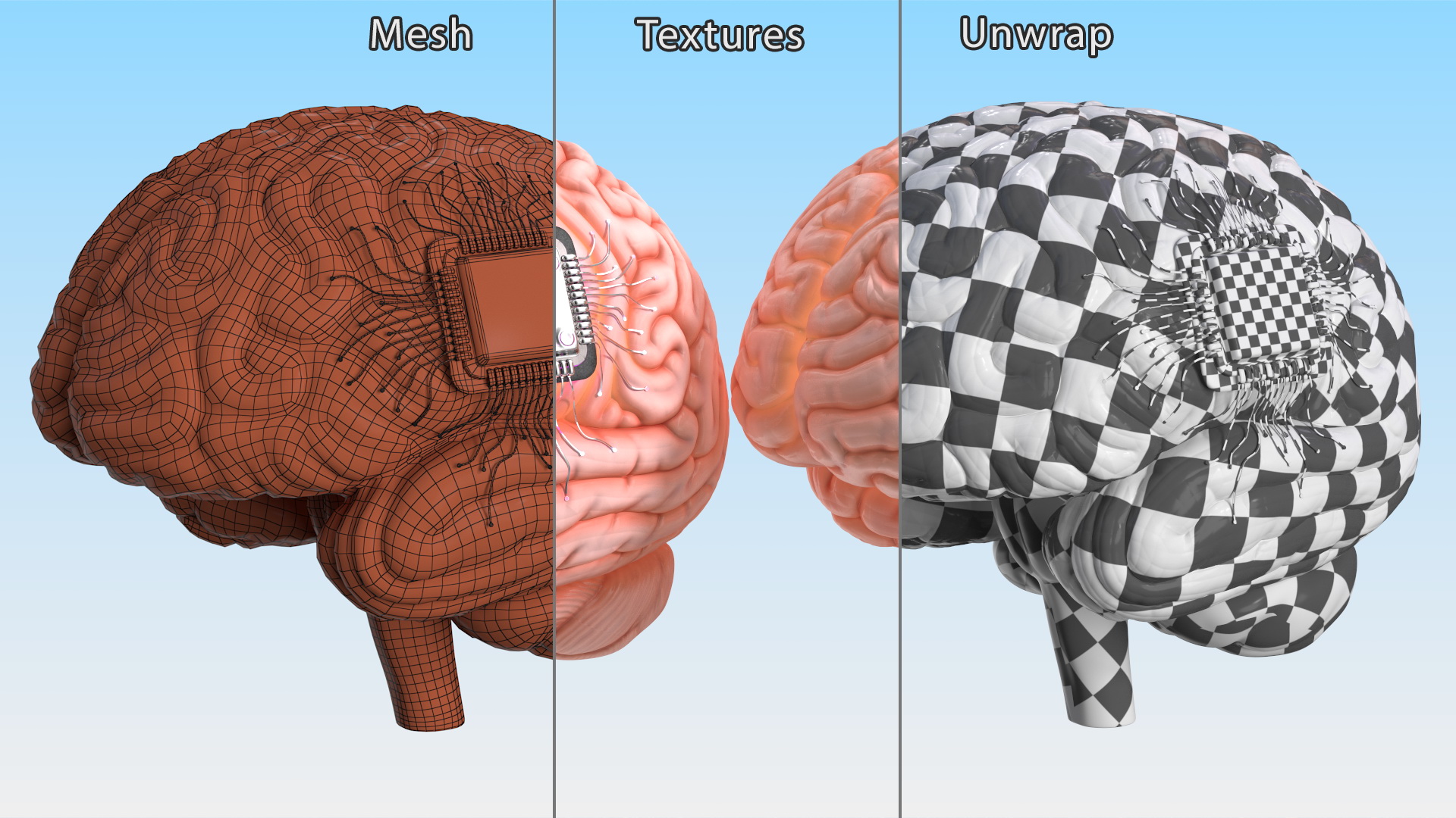 Human Brain With Implanted Microchip Lighted 3D model