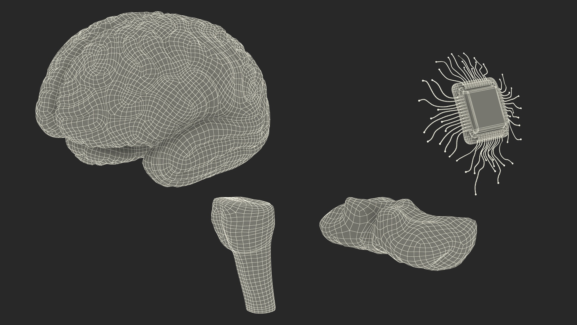Human Brain With Implanted Microchip Lighted 3D model