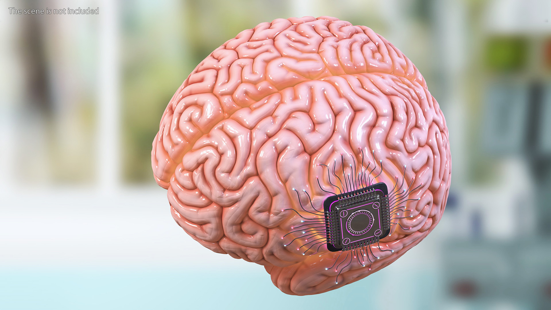 Human Brain With Implanted Microchip Lighted 3D model