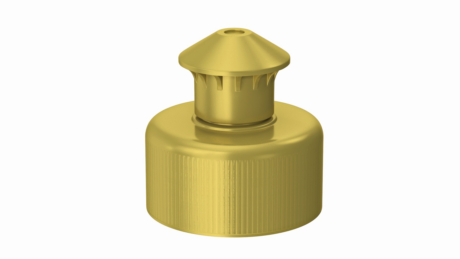 3D Push Pull Cap model