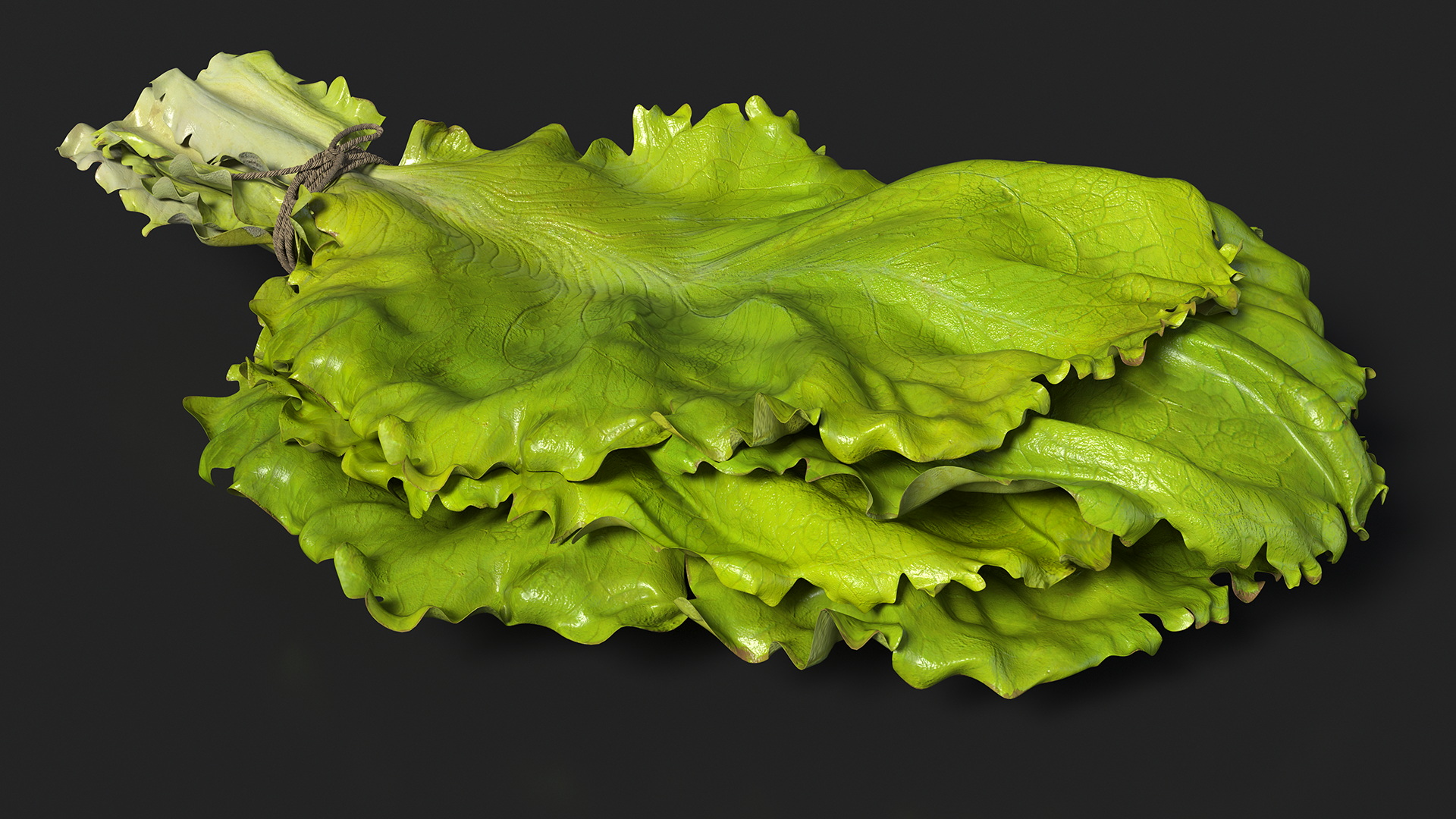 3D model Bunch of Lettuce Fur