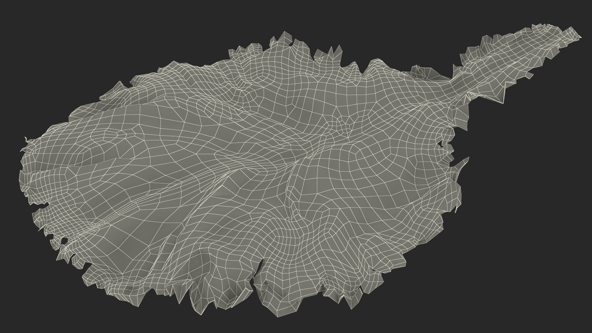 3D model Bunch of Lettuce Fur