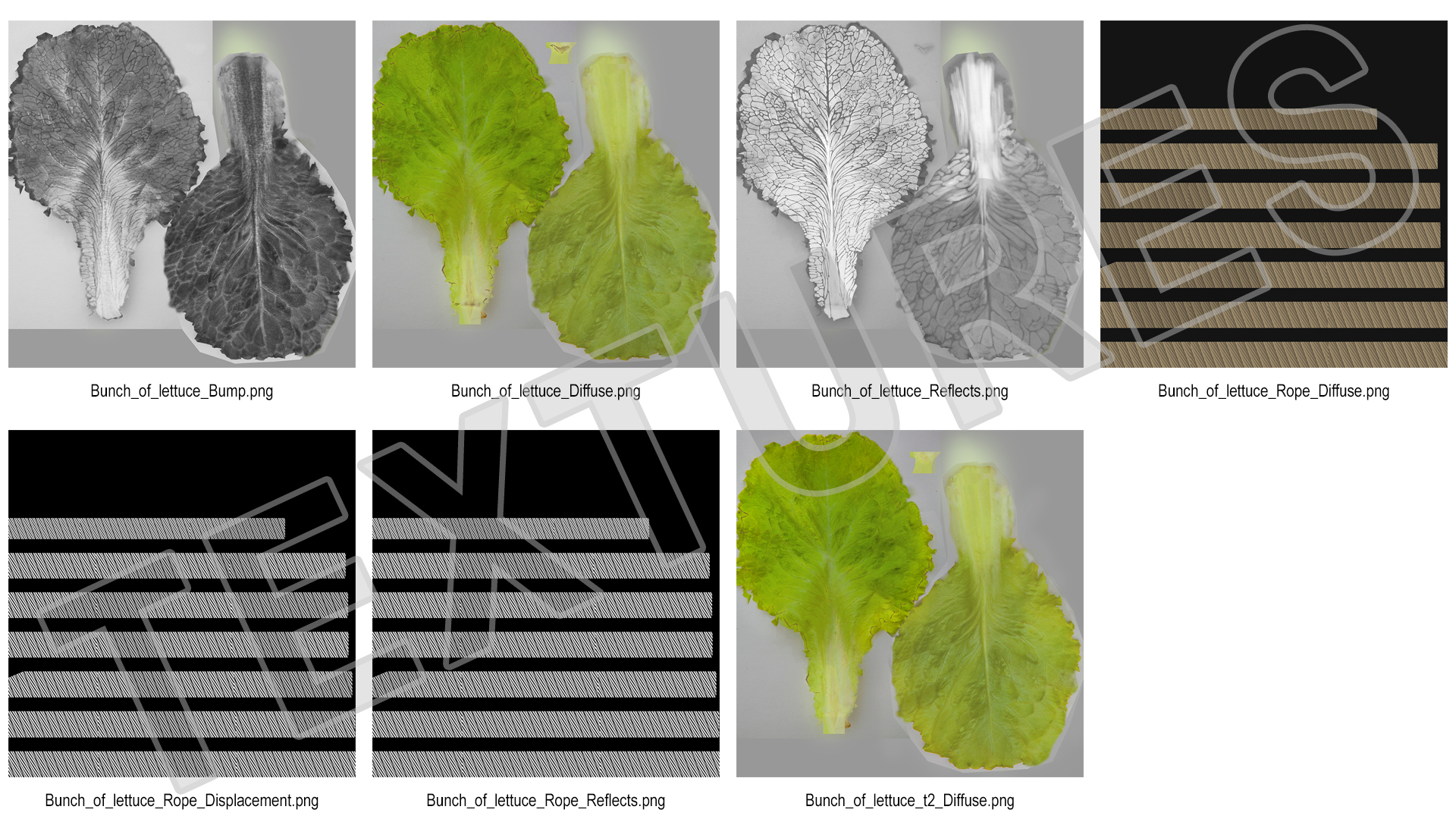 3D model Bunch of Lettuce Fur