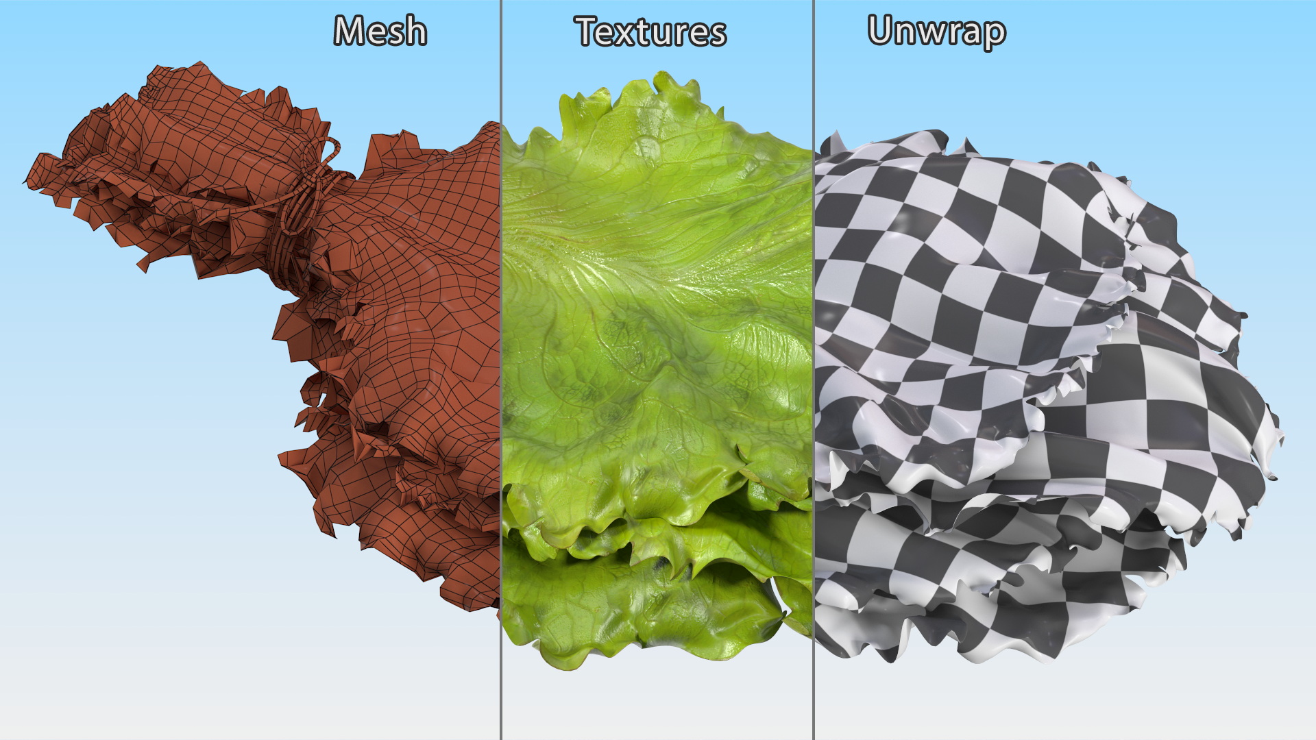 3D model Bunch of Lettuce Fur