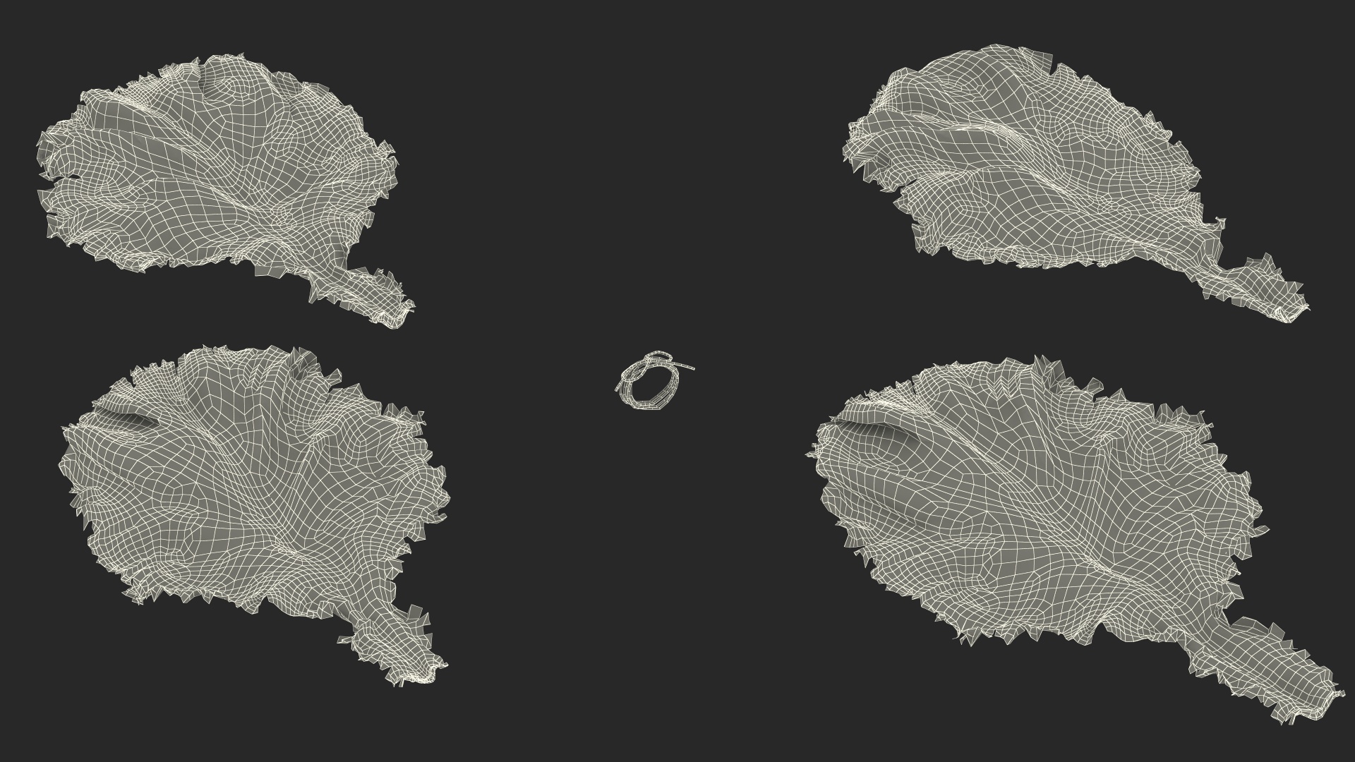 3D model Bunch of Lettuce Fur
