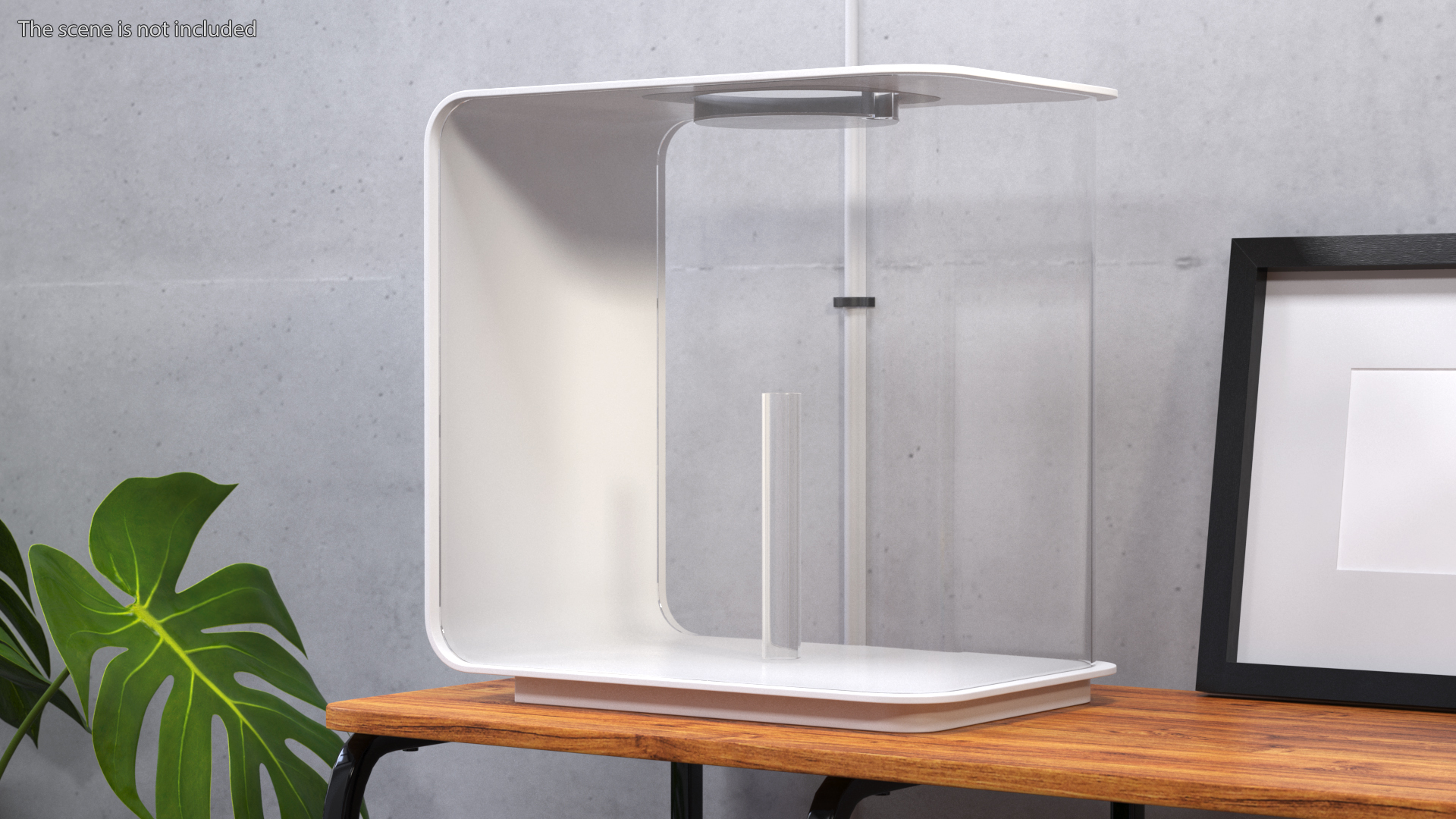 Empty Rectangular White Aquarium 3D