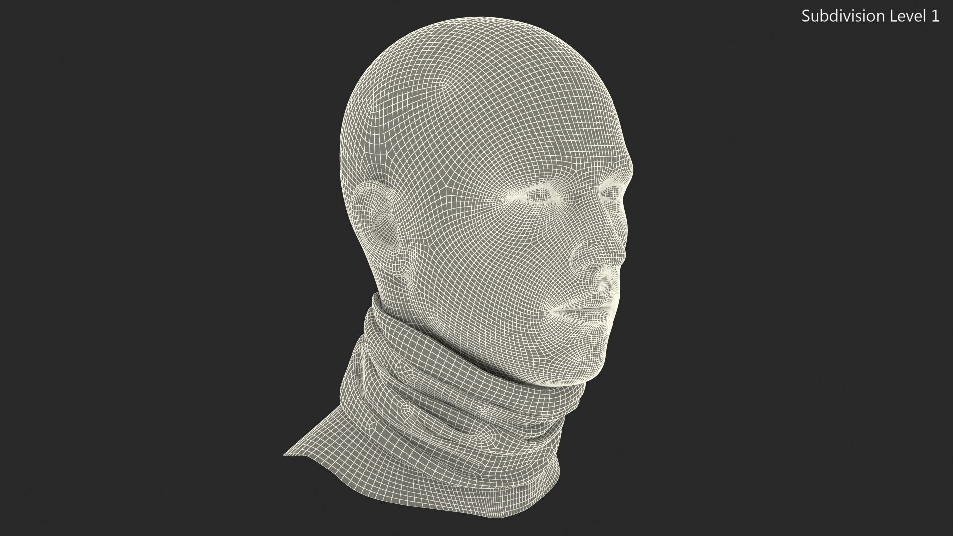 Multi Functional Neck Gaiter Camouflage 3D model