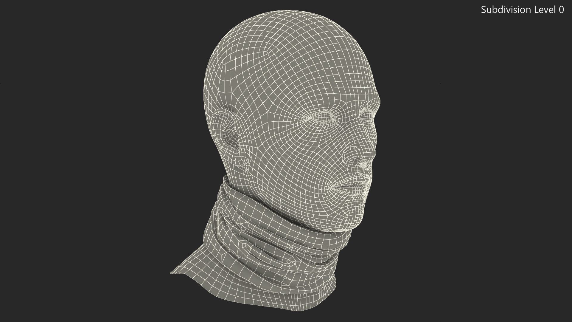 Multi Functional Neck Gaiter Camouflage 3D model