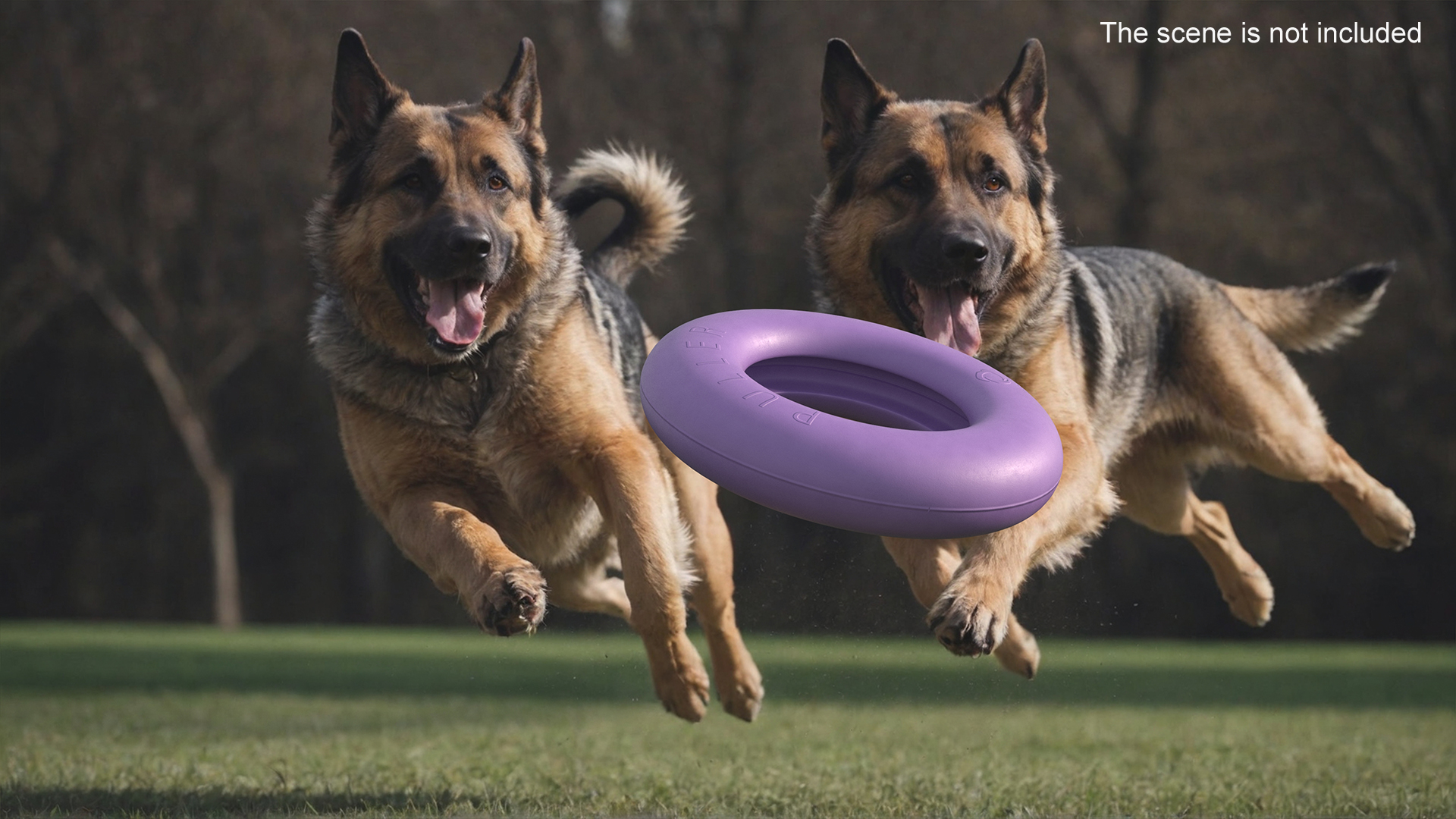 3D model Outdoor Dog Toy Puller Maxi Package