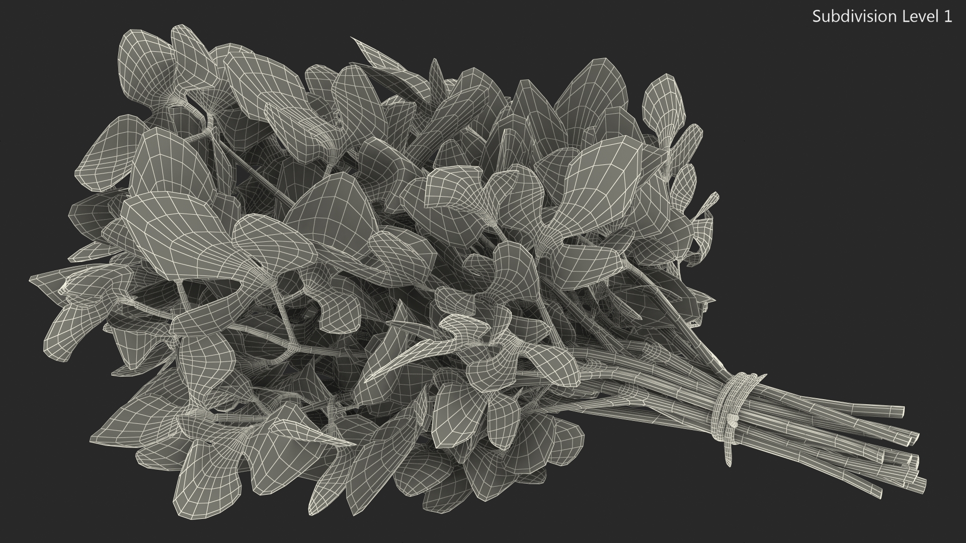 3D Bunch of Parsley