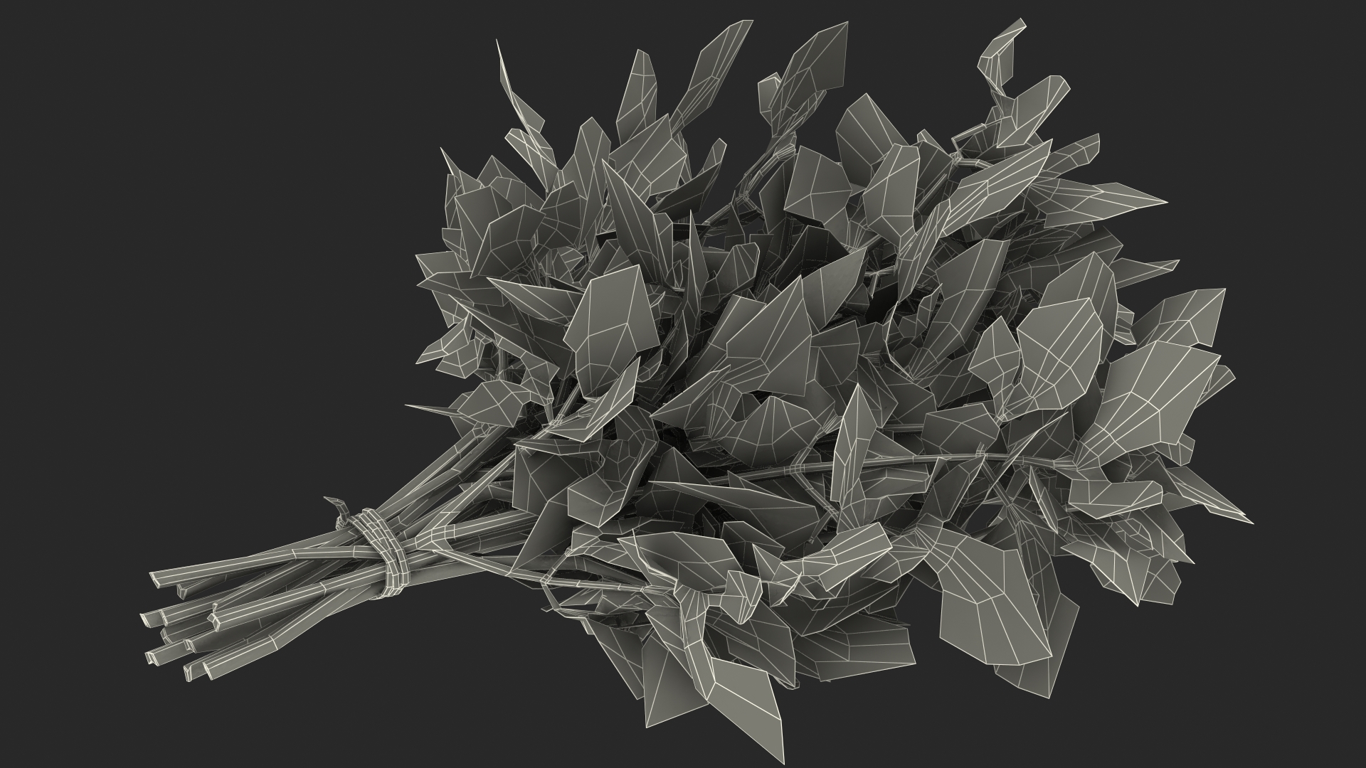 3D Bunch of Parsley