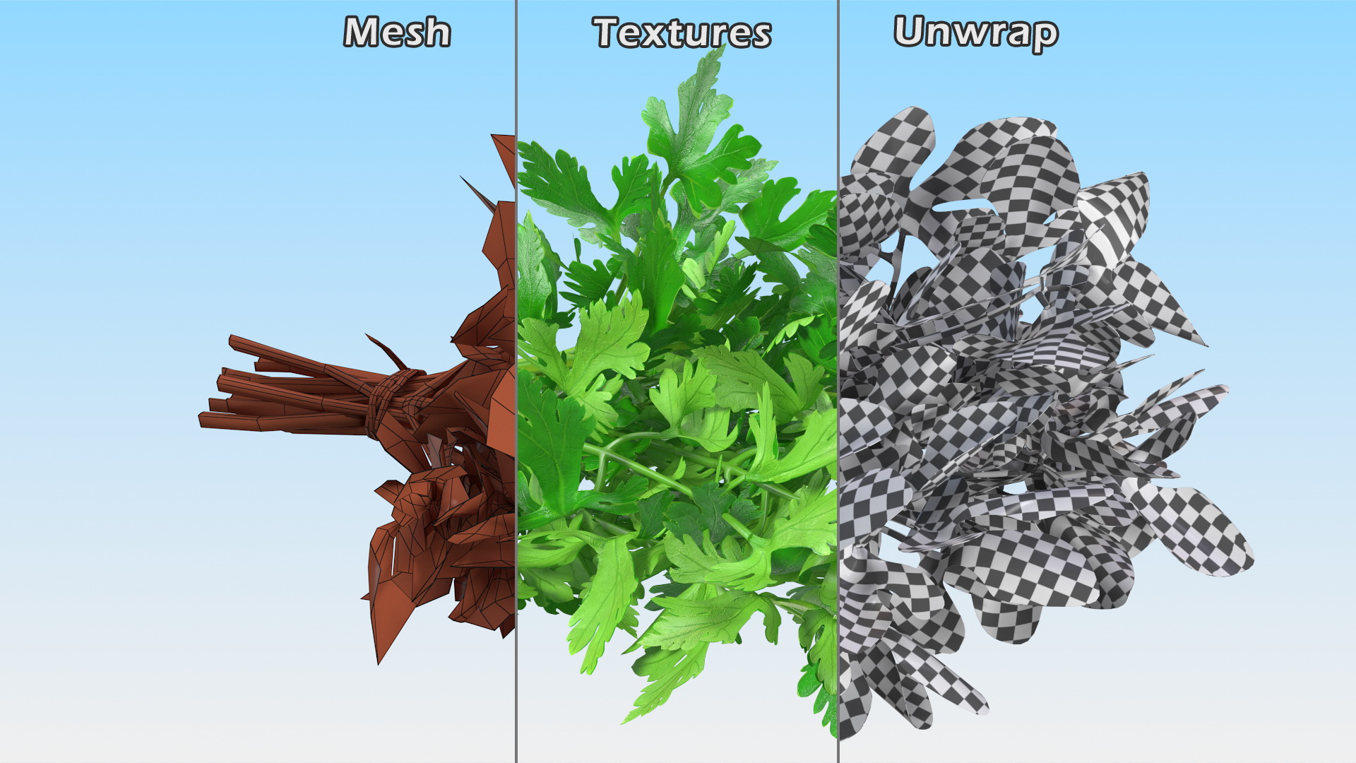 3D Bunch of Parsley