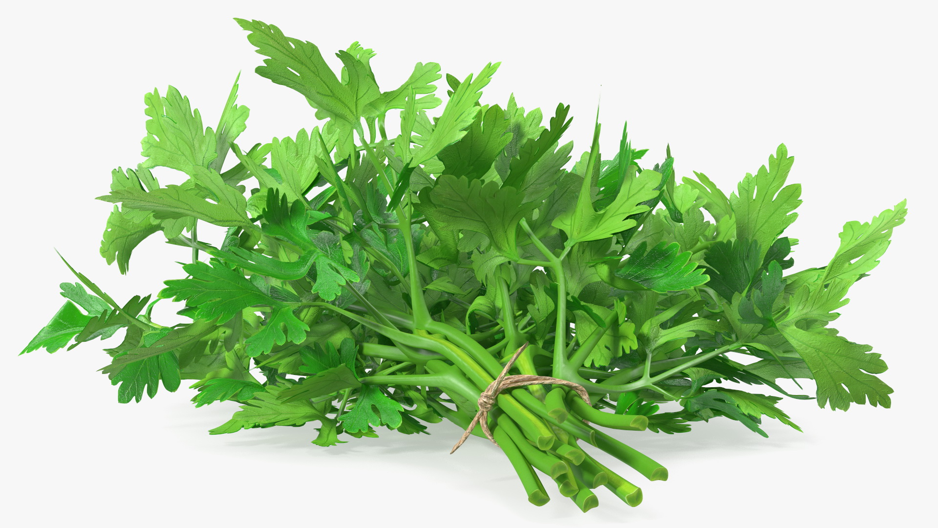 3D Bunch of Parsley