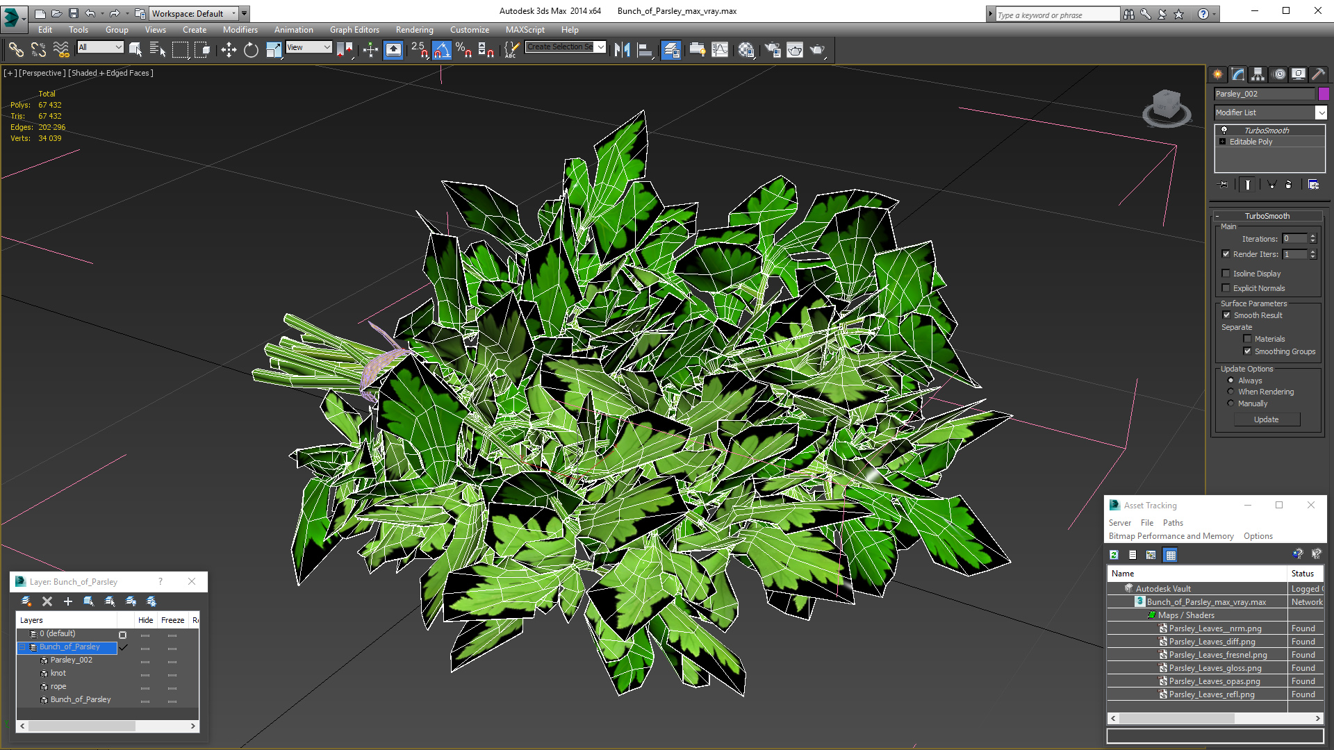 3D Bunch of Parsley