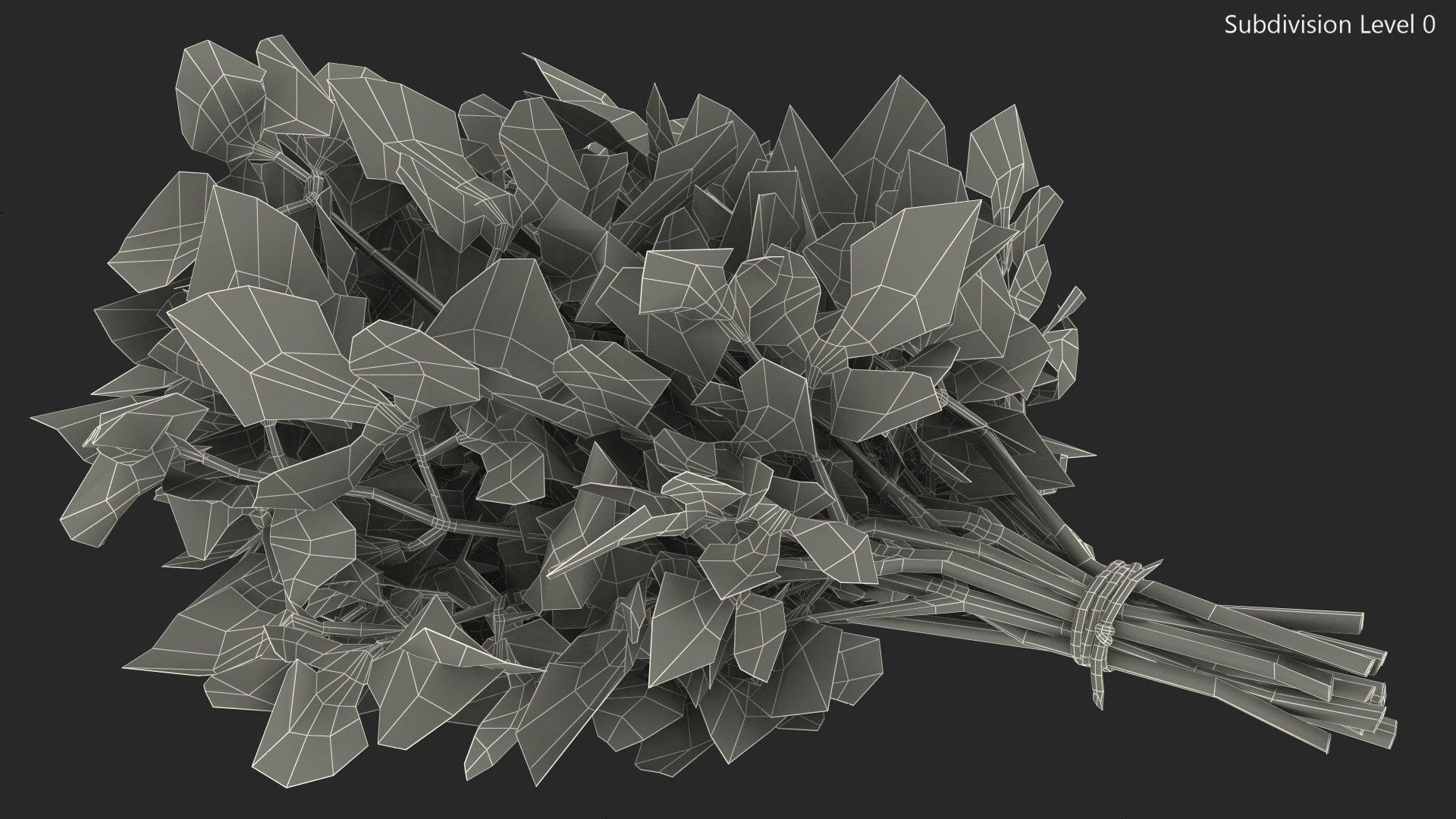 3D Bunch of Parsley