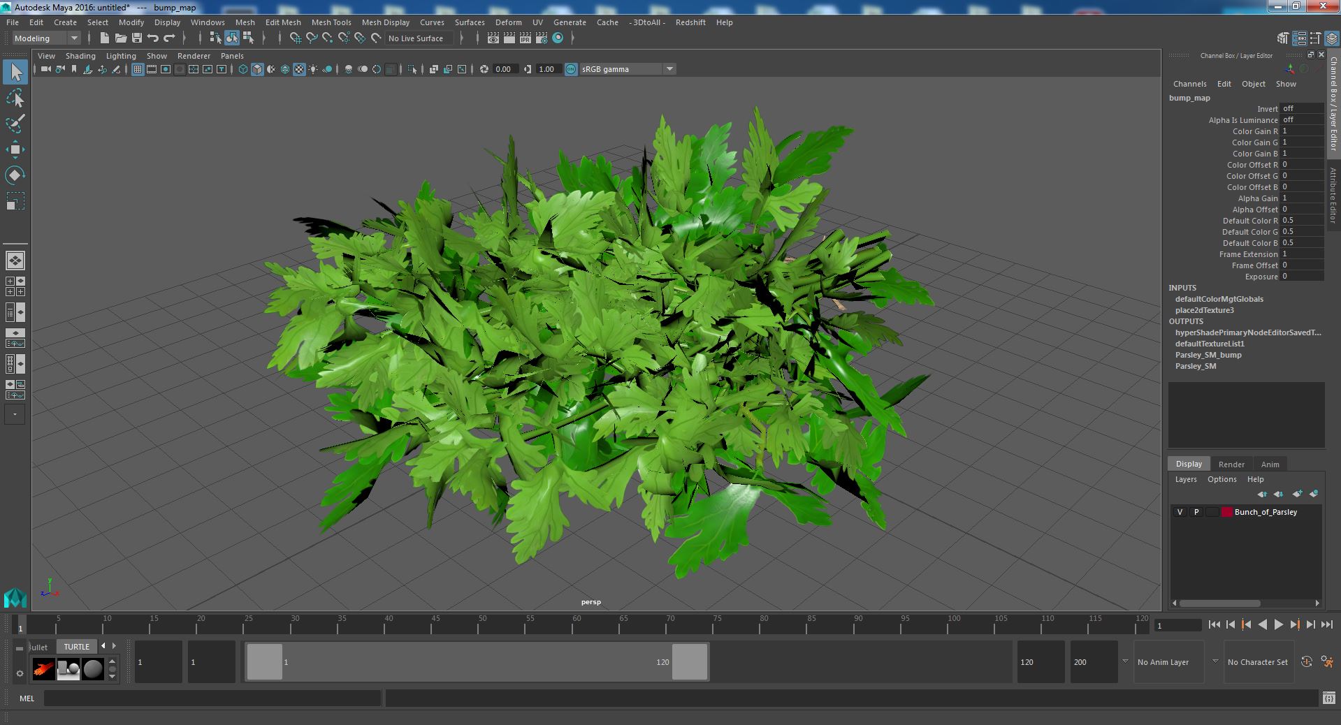 3D Bunch of Parsley