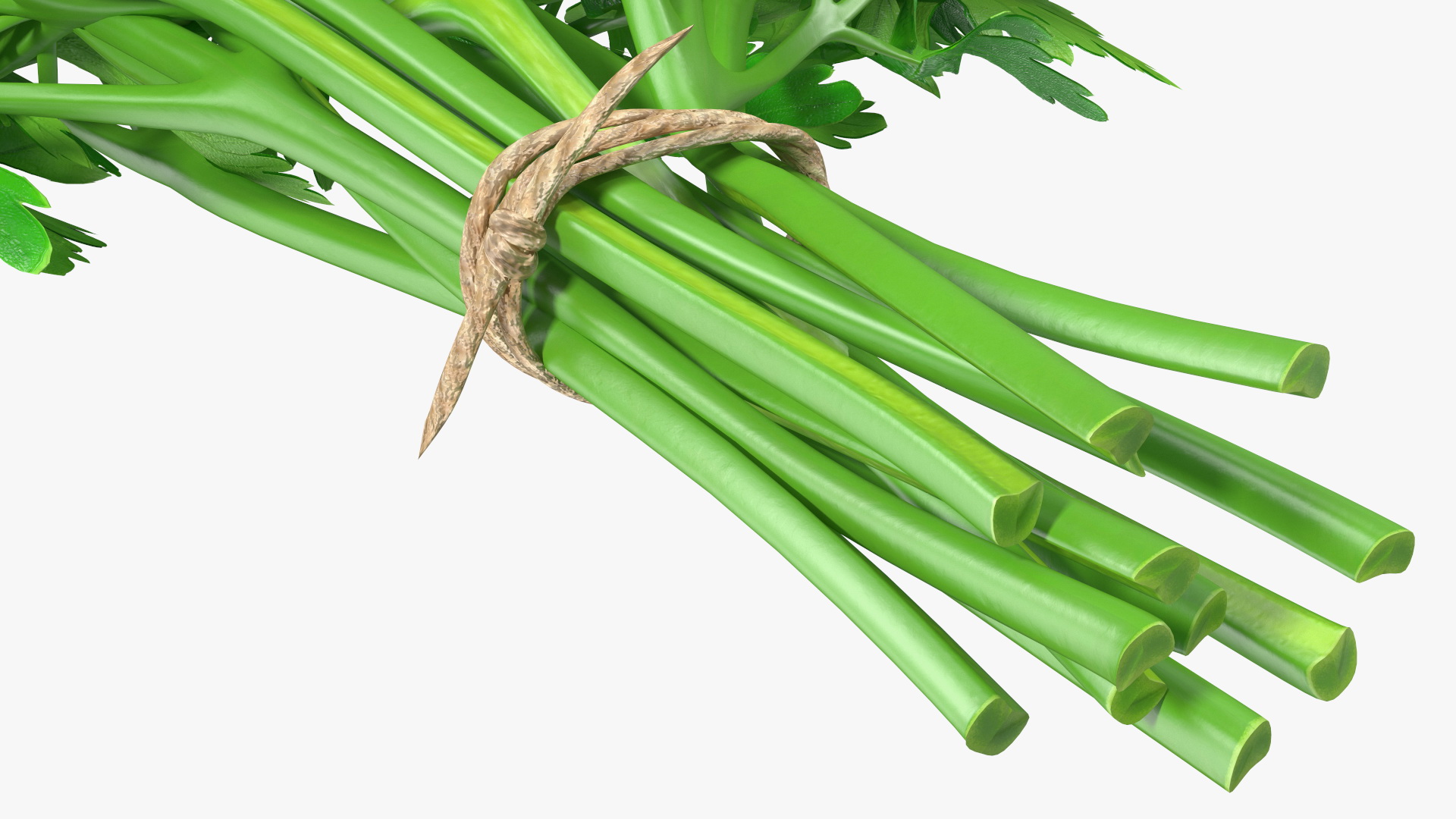 3D Bunch of Parsley