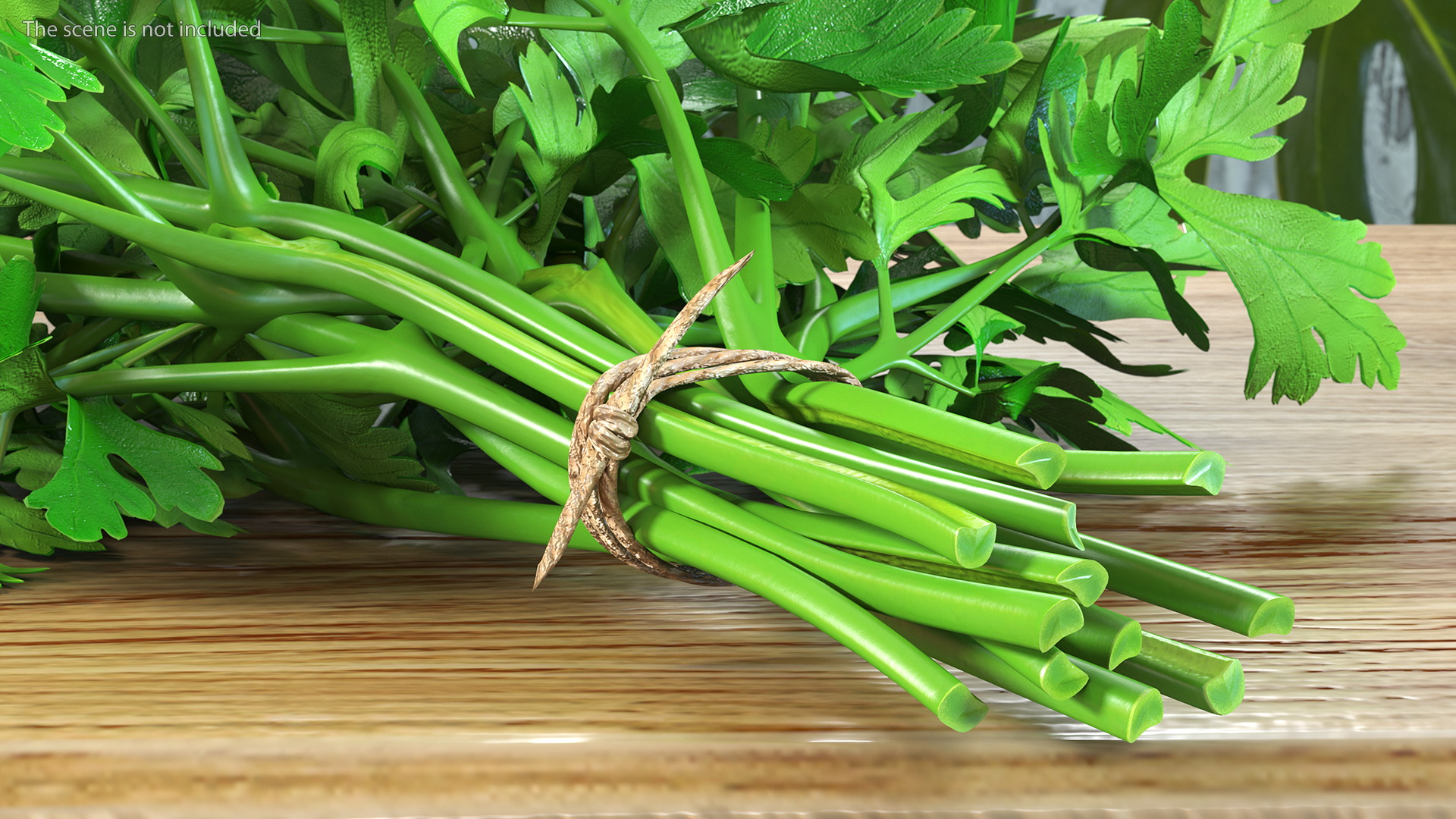 3D Bunch of Parsley