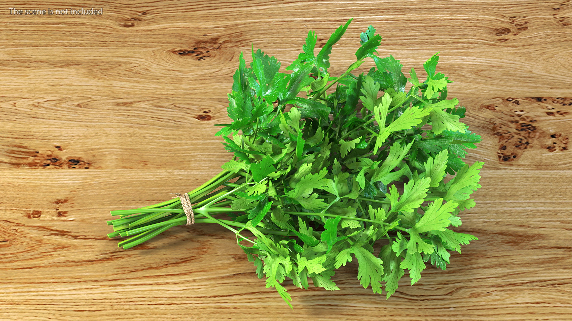 3D Bunch of Parsley