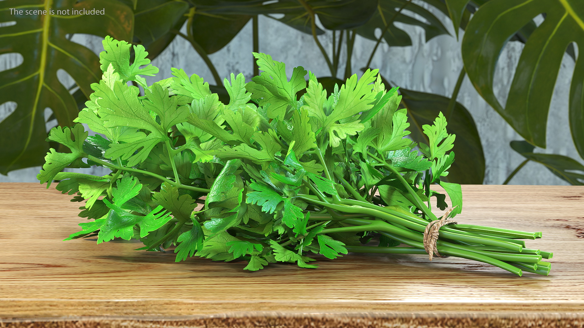 3D Bunch of Parsley
