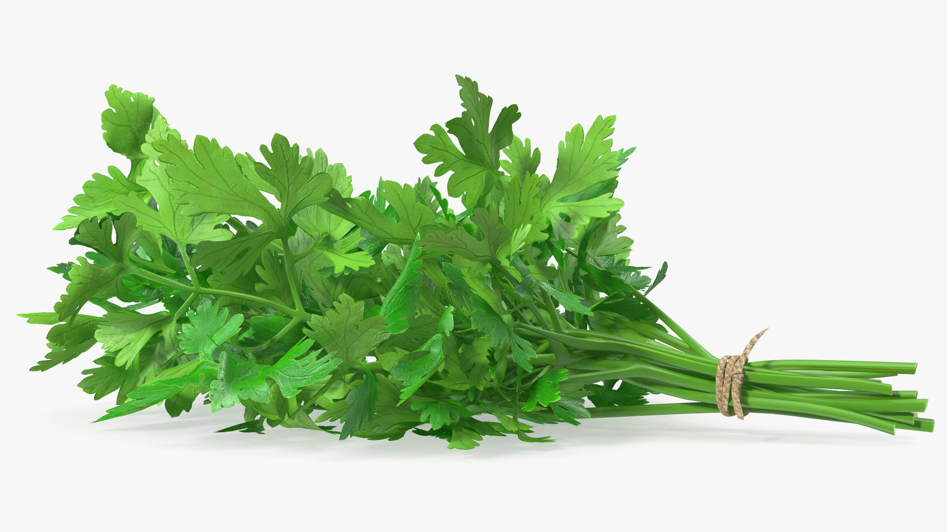 3D Bunch of Parsley