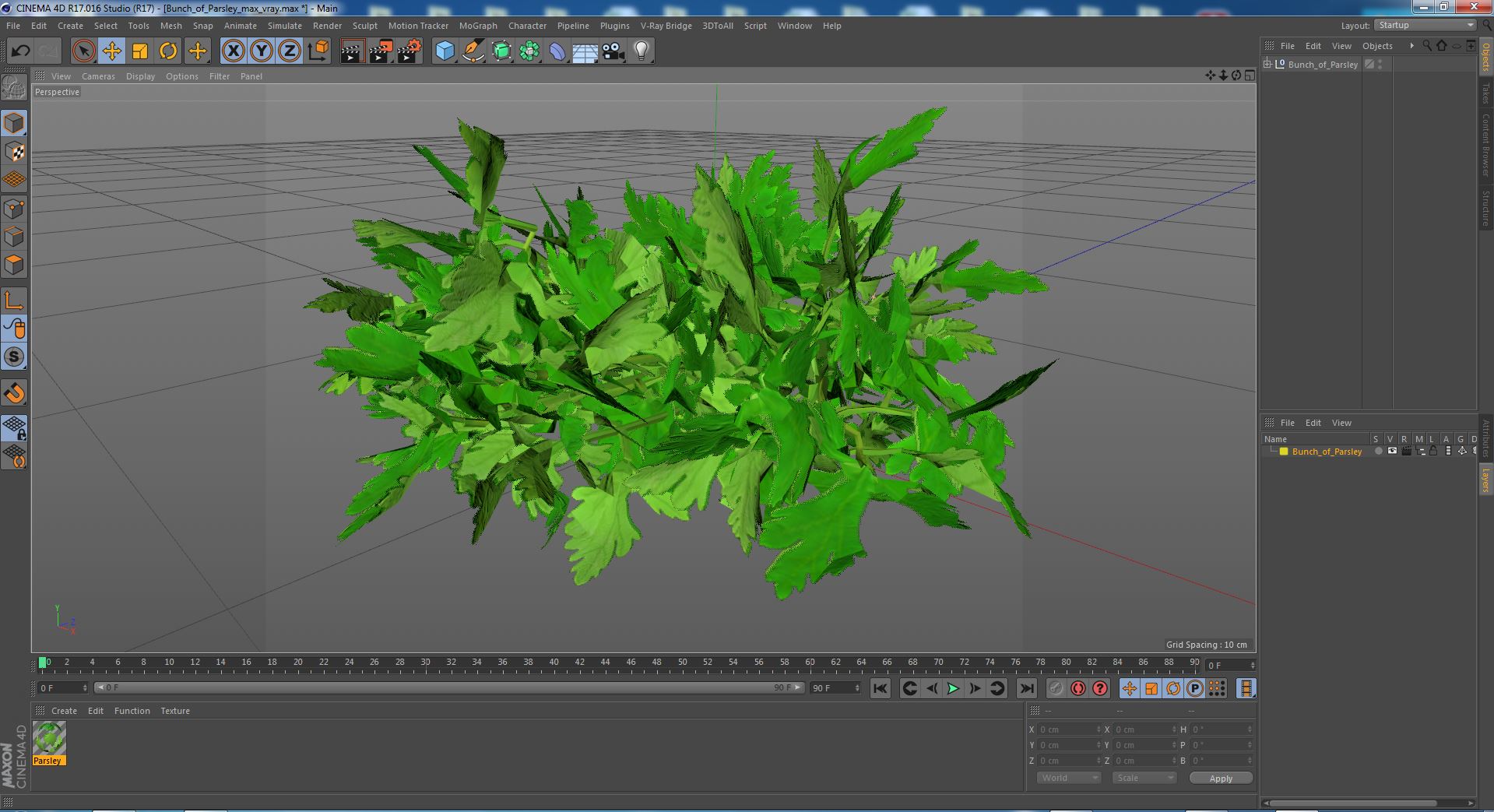 3D Bunch of Parsley