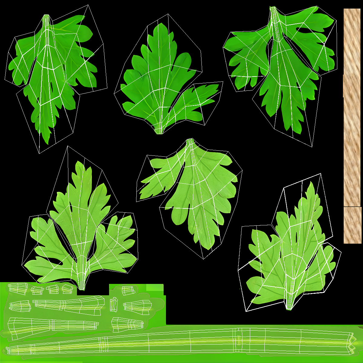 3D Bunch of Parsley