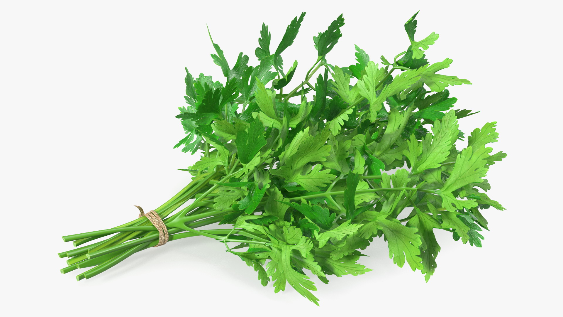 3D Bunch of Parsley