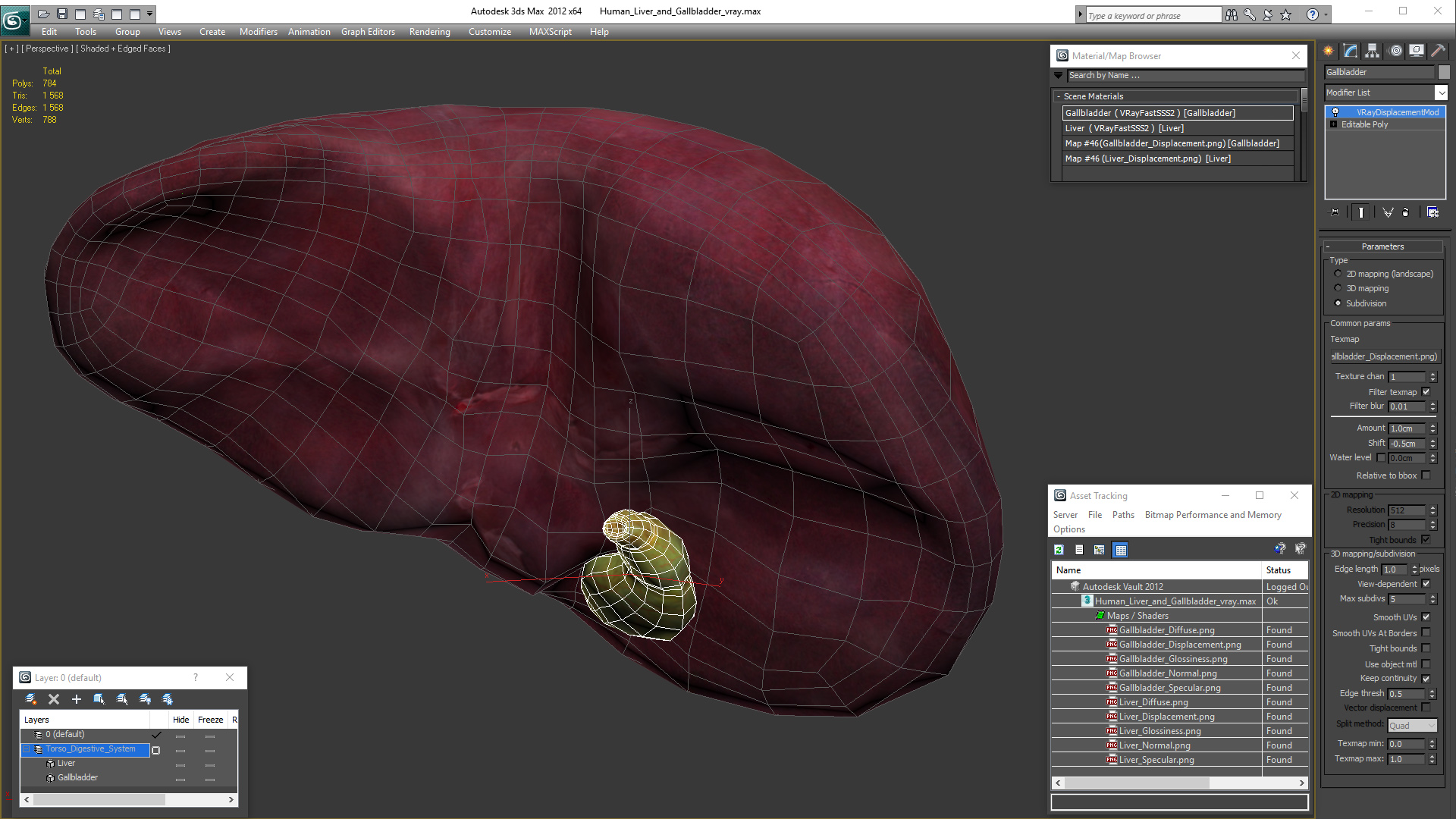 Human Liver and Gallbladder 3D