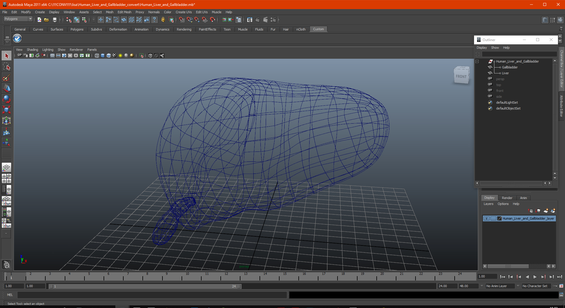Human Liver and Gallbladder 3D