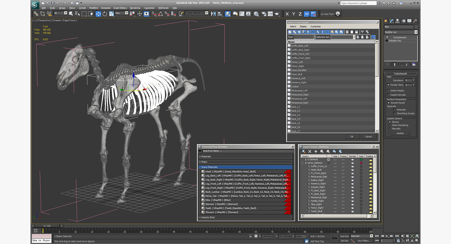 Horse Skeleton 3D model