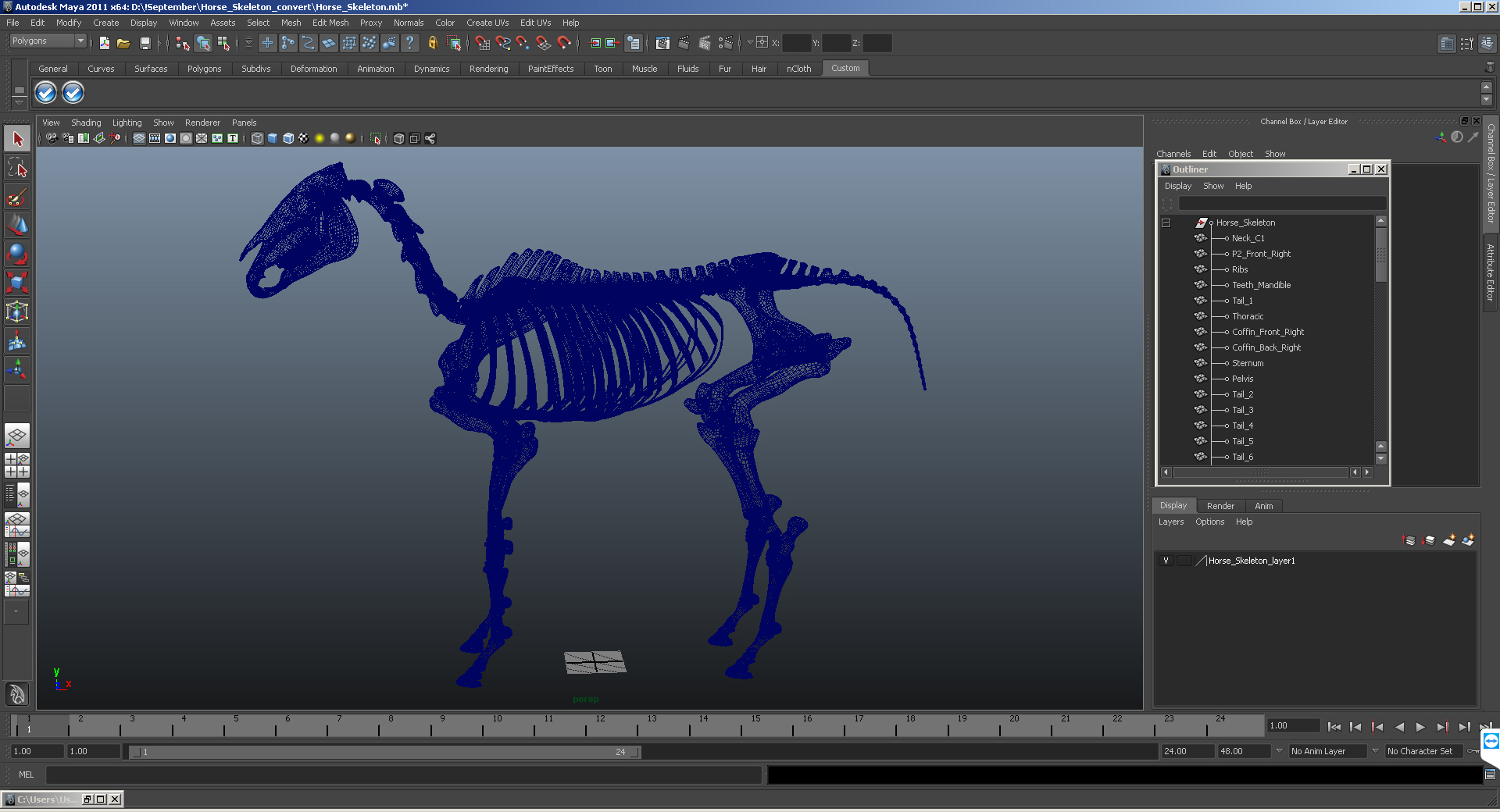 Horse Skeleton 3D model