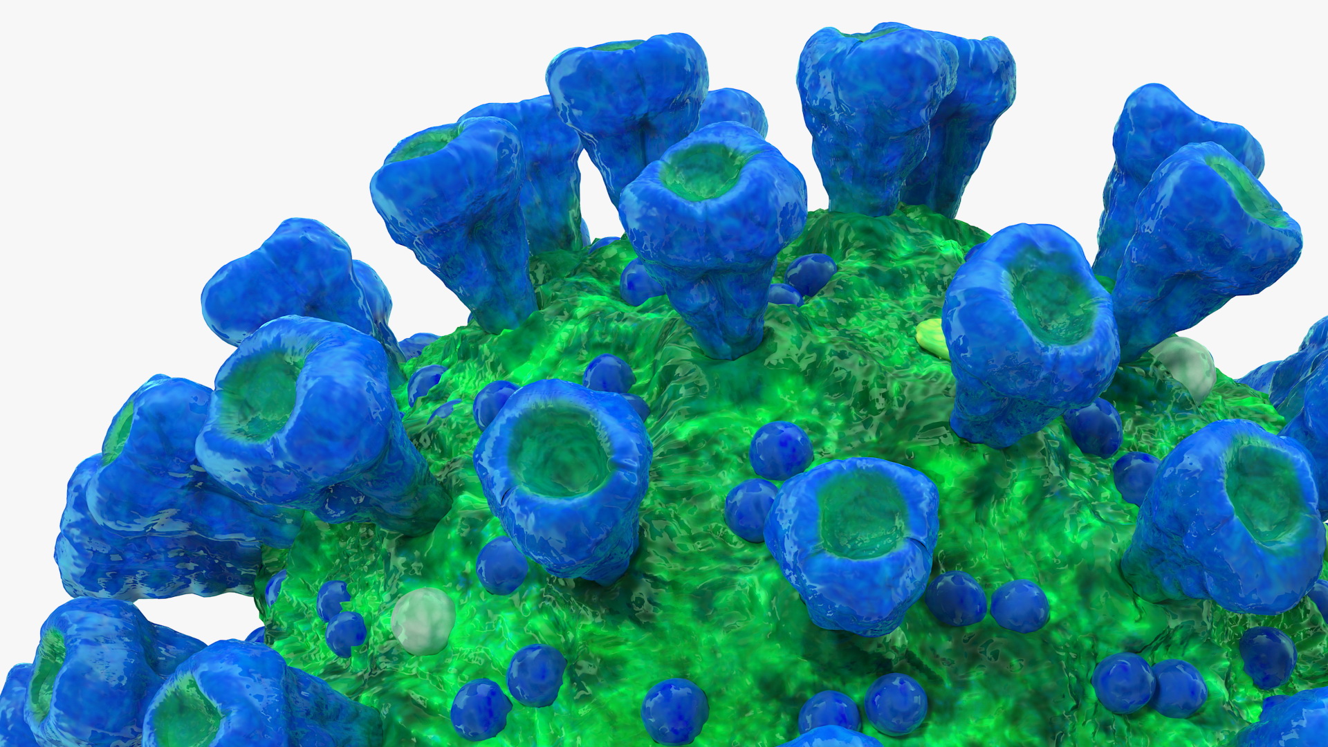 Coronavirus MERS-CoV Cross Section 3D model