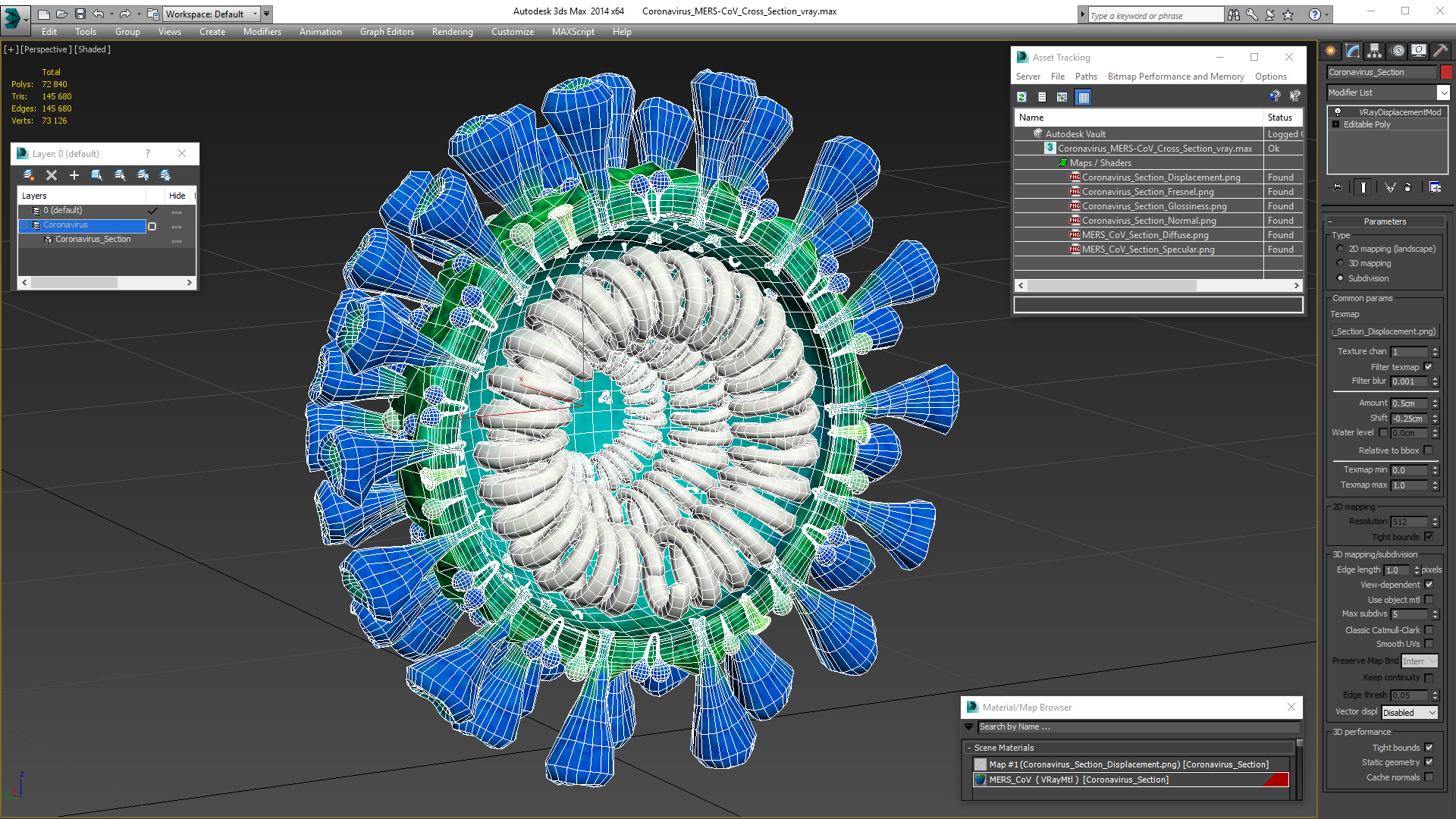 Coronavirus MERS-CoV Cross Section 3D model