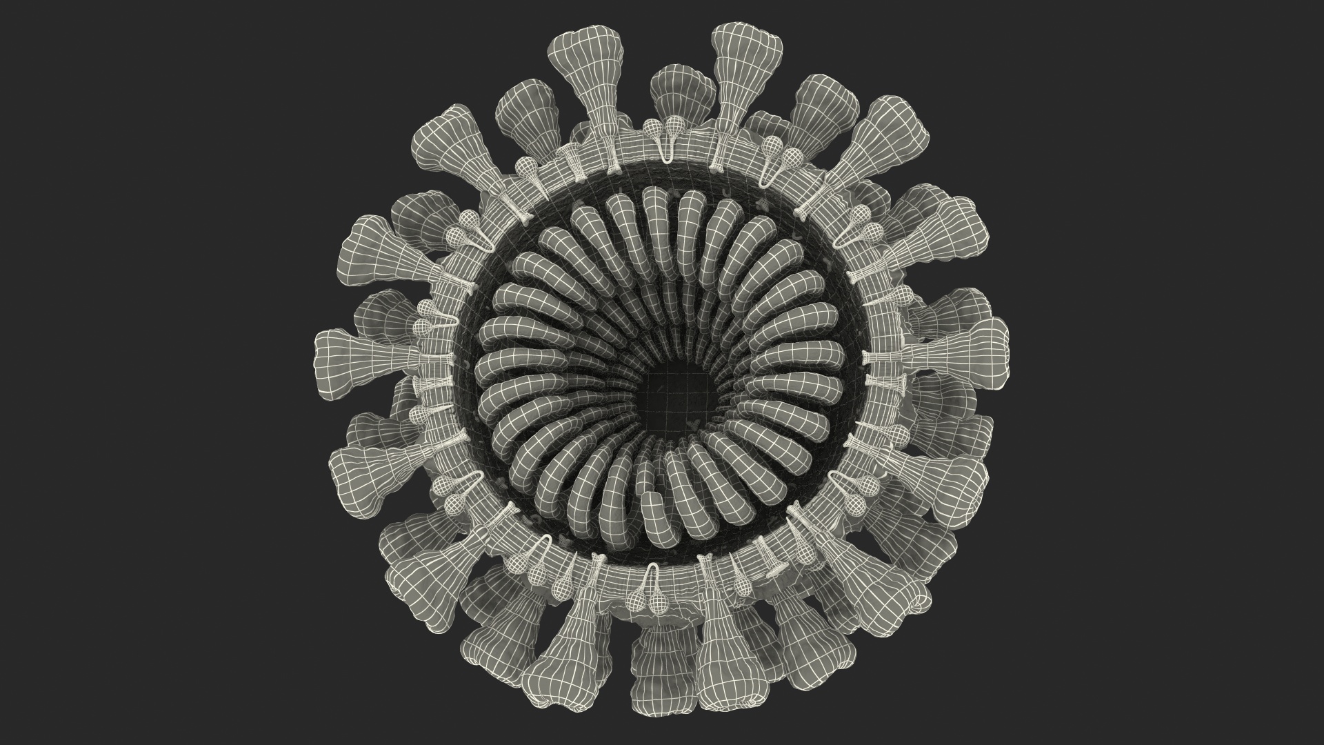 Coronavirus MERS-CoV Cross Section 3D model