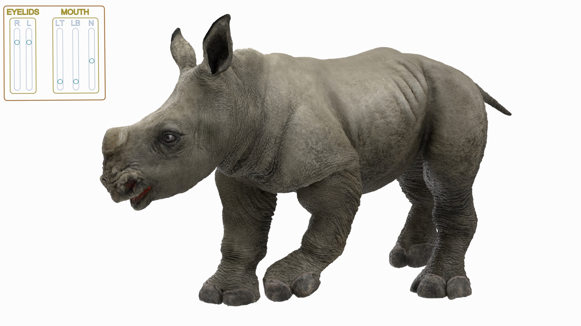 Baby Rhino Rigged 3D
